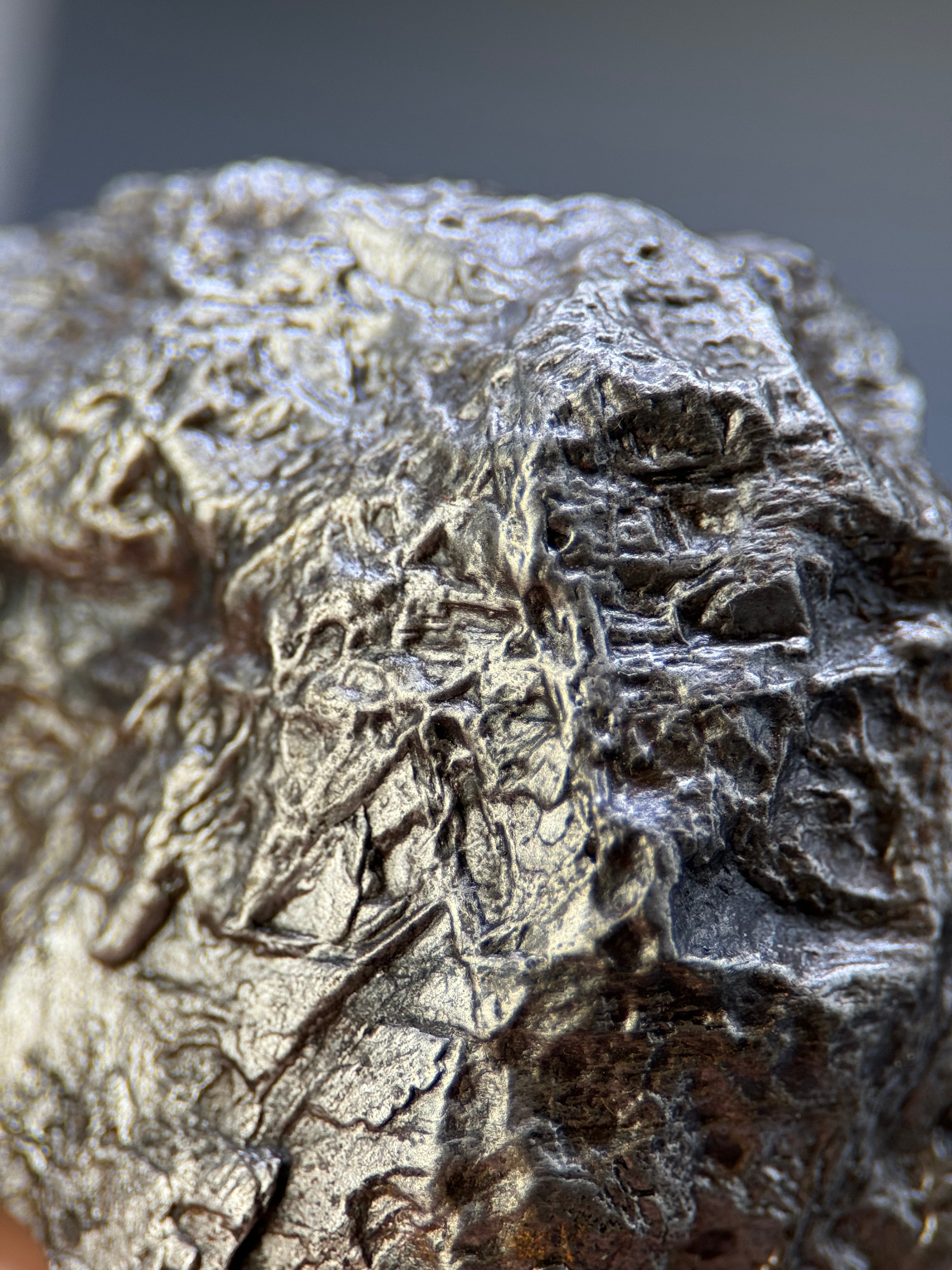 MUONIONALUSTA METEORITE, SWEDEN. 213 GRAMS END-CUT.