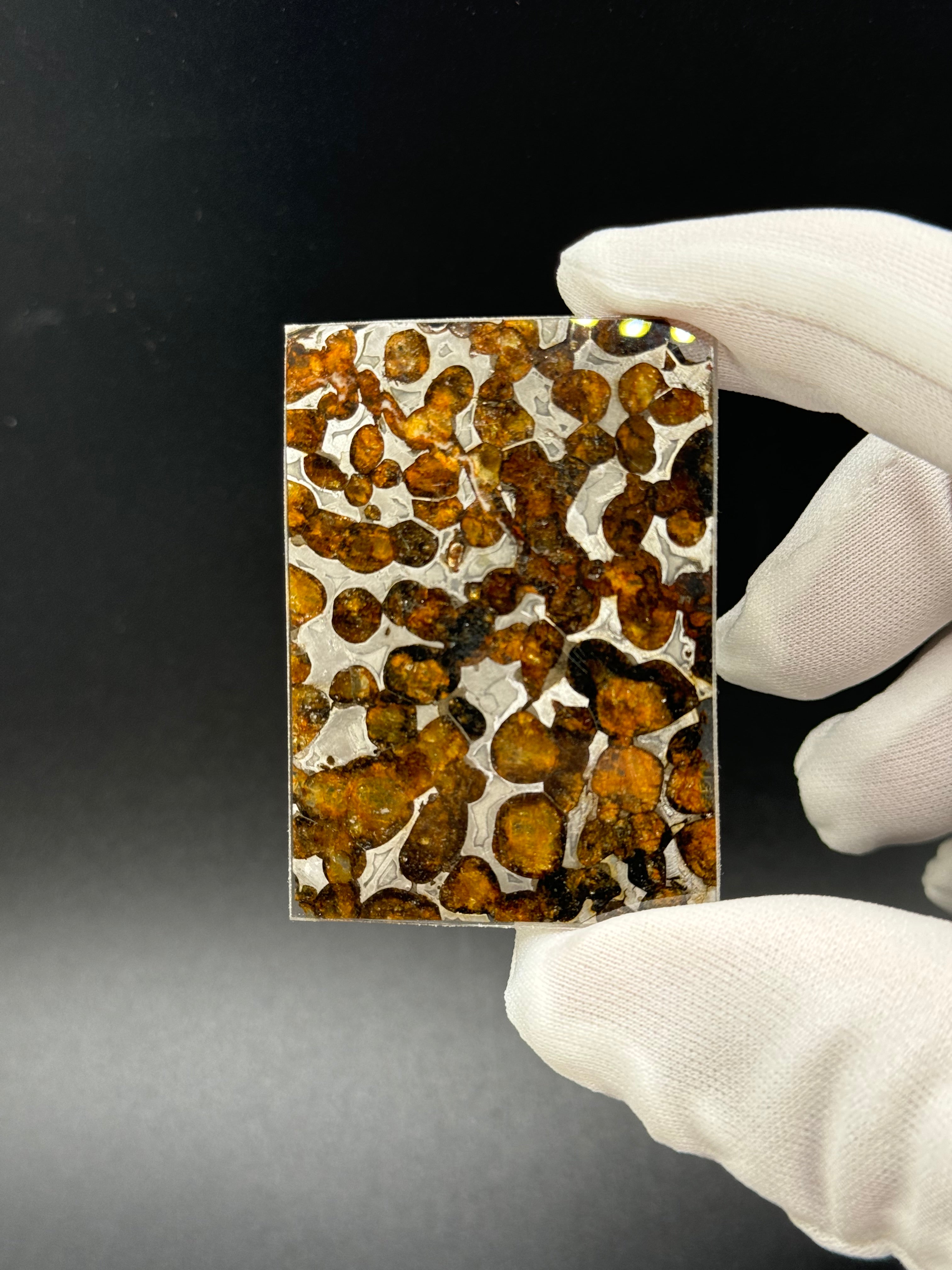 SERICHO METEORITE, KENYA. 10,36 GRAMS SLICE