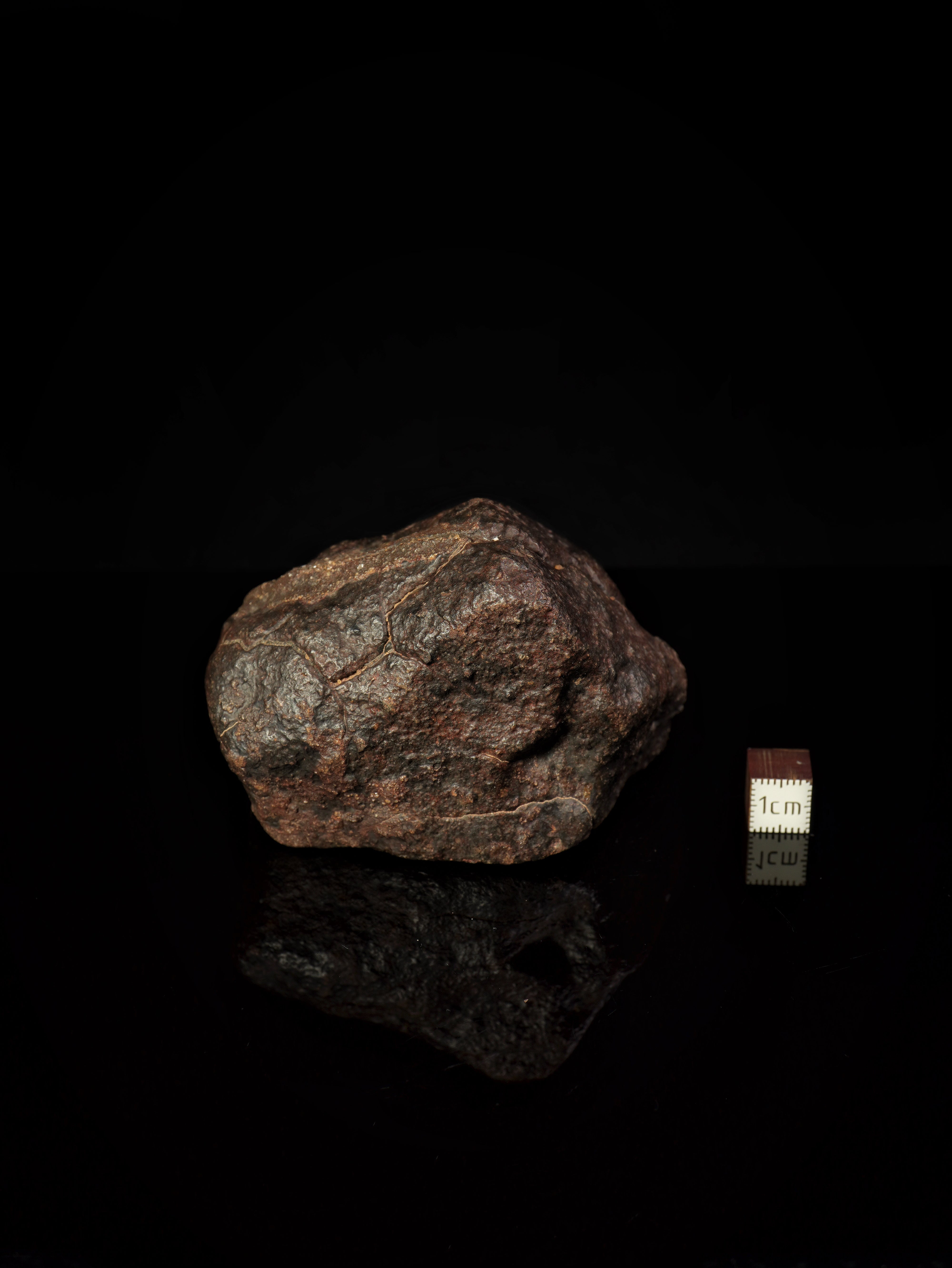 CHONDRITE METEORITE, NORTH WEST AFRICA. 368 GRAMS.