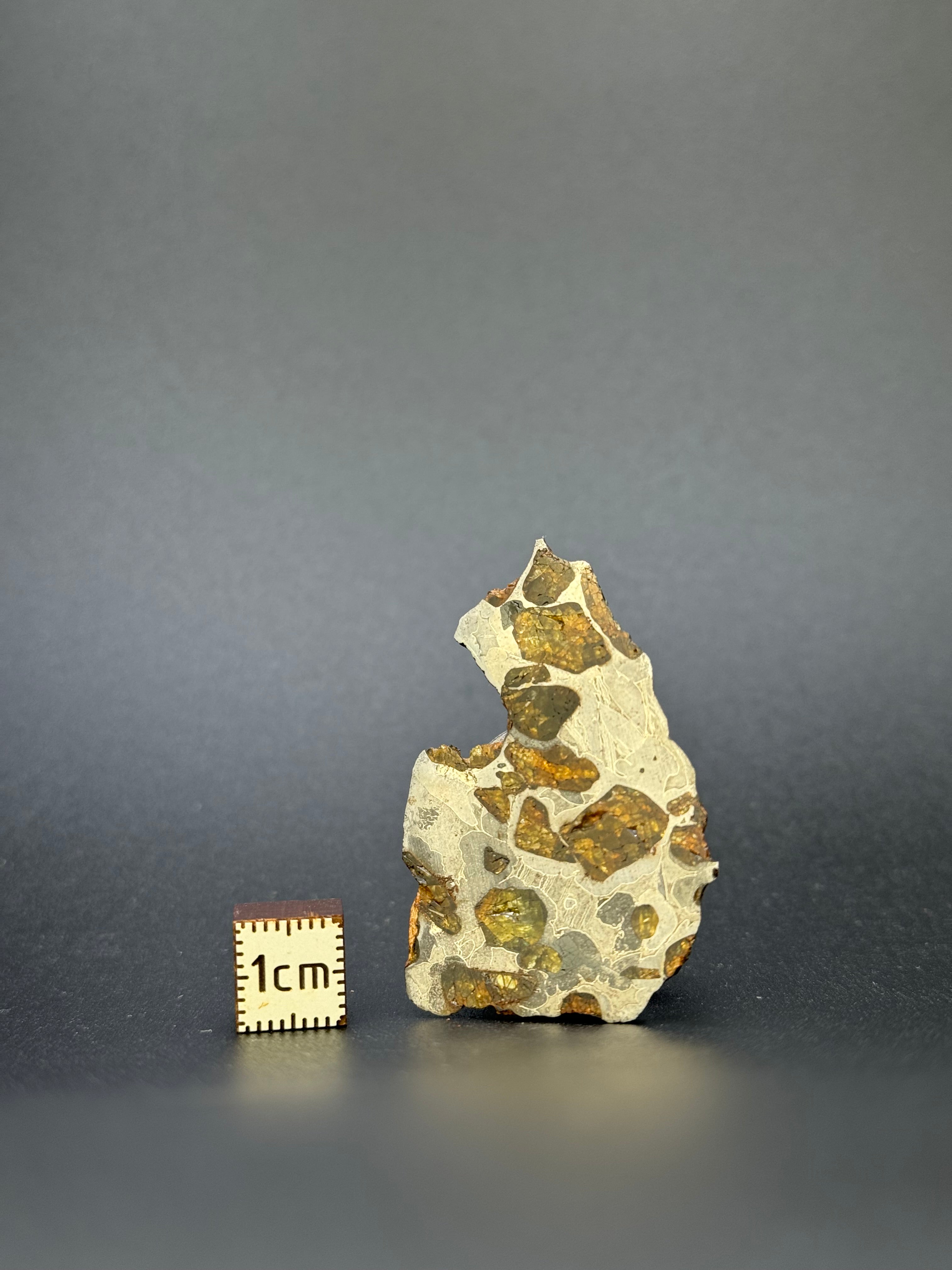IMILAC PALLASITE METEORITE, END CUT, CHILE. 22,62 GRAMS.