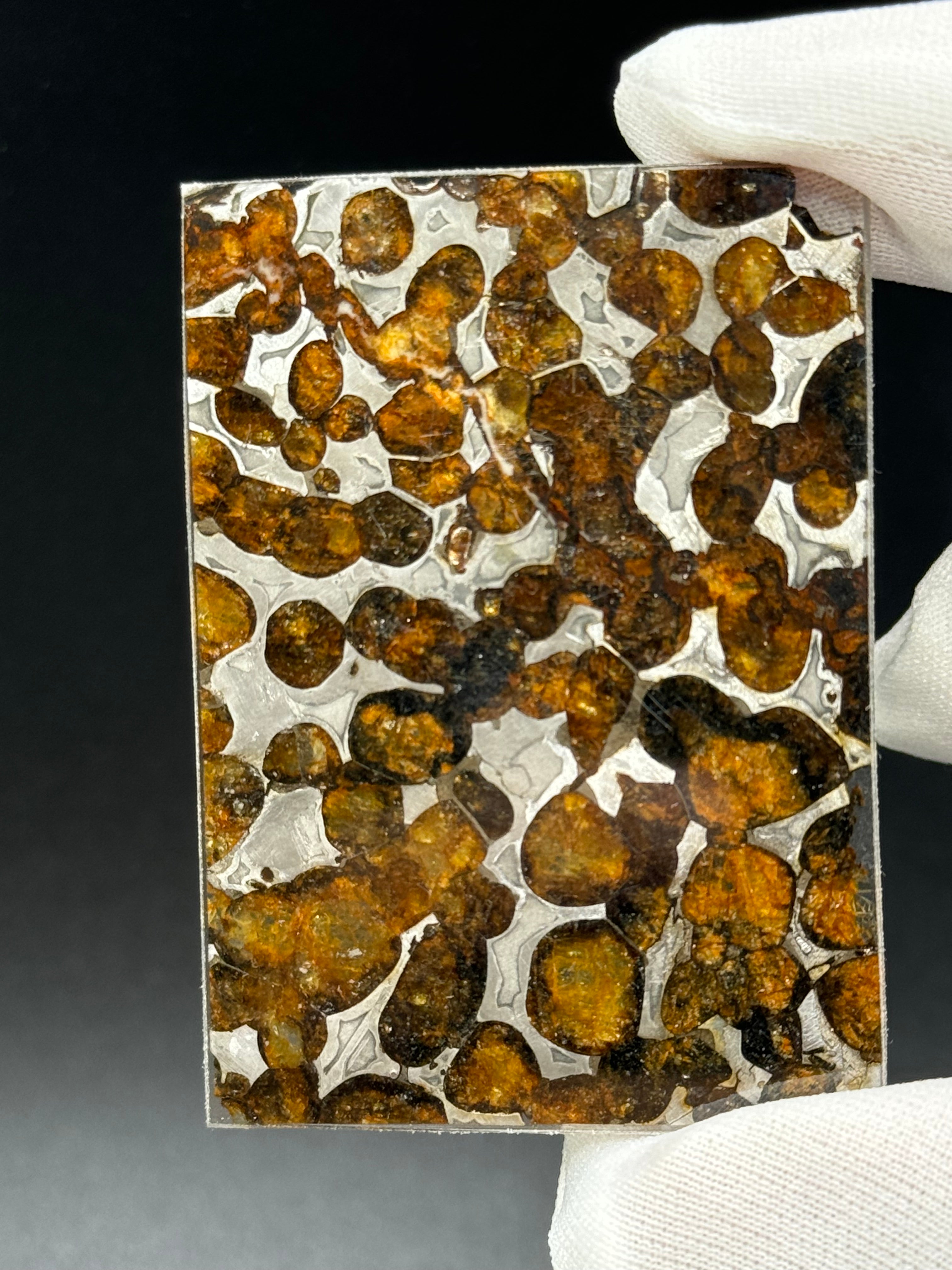 SERICHO METEORITE, KENYA. 10,36 GRAMS SLICE