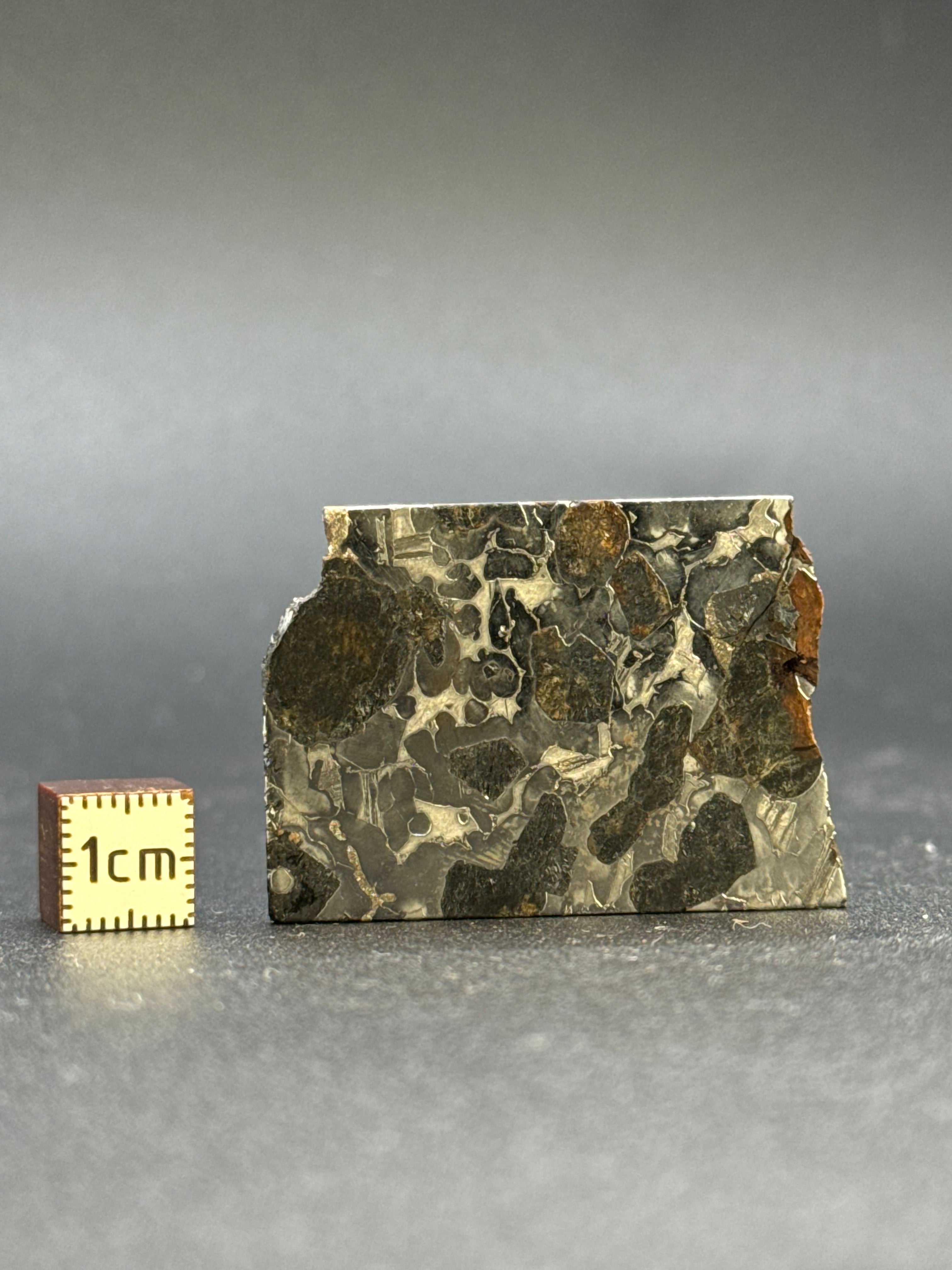 SEYMCHAN METEORITE, MAGADAN REGION, RUSSIA. 15 GRAMS.