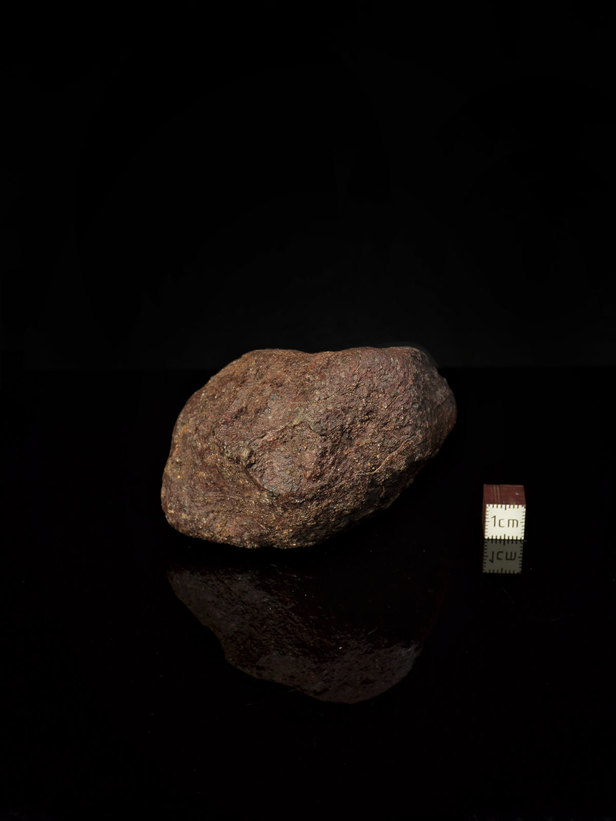 CHONDRITE METEORITE, NORTH WEST AFRICA. 352 GRAMS.
