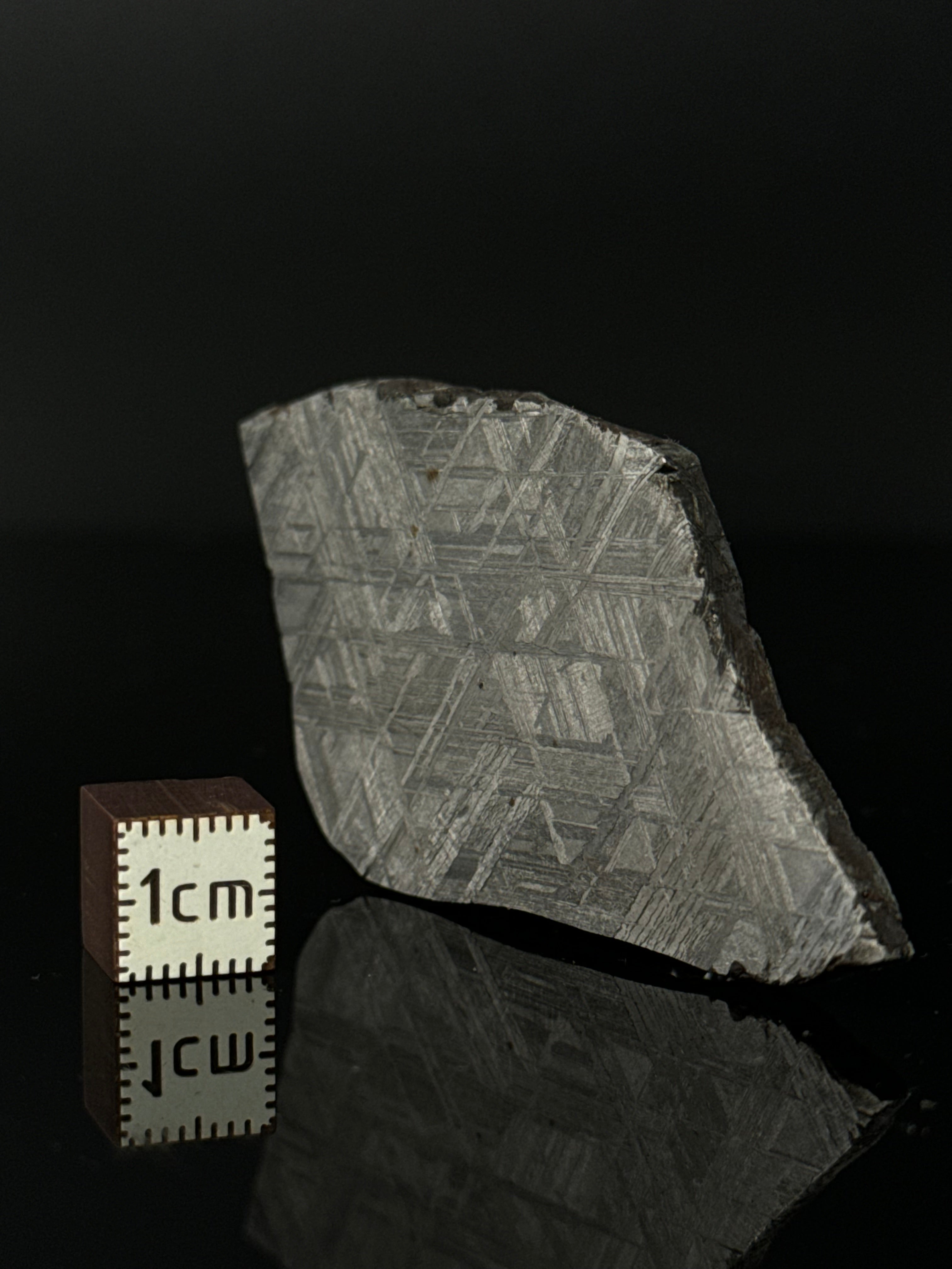 MUONIONALUSTA METEORITE, SWEDEN 42,28 GRAMS.