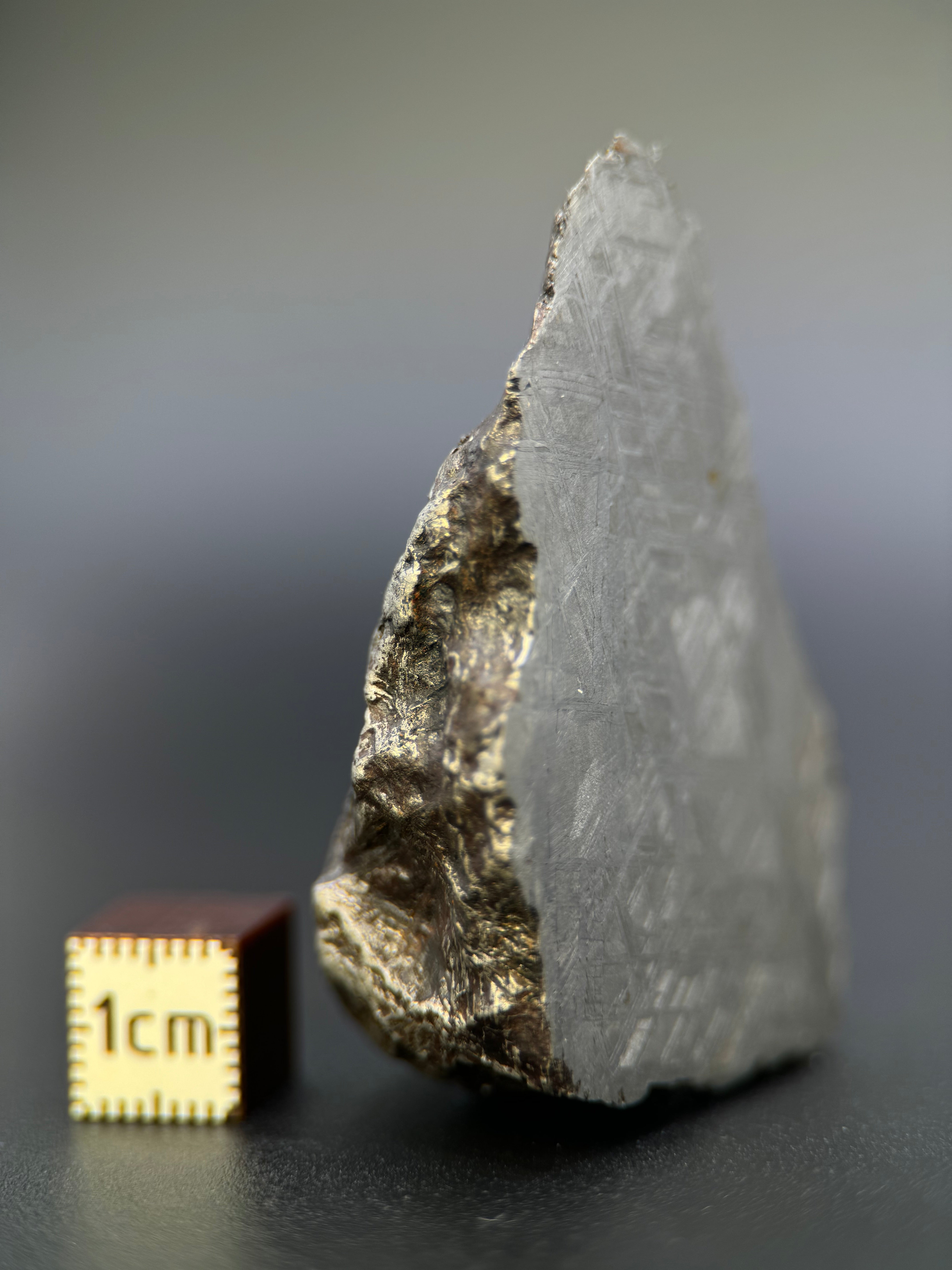 MUONIONALUSTA METEORITE, SWEDEN. 129,8 GRAMS END-CUT