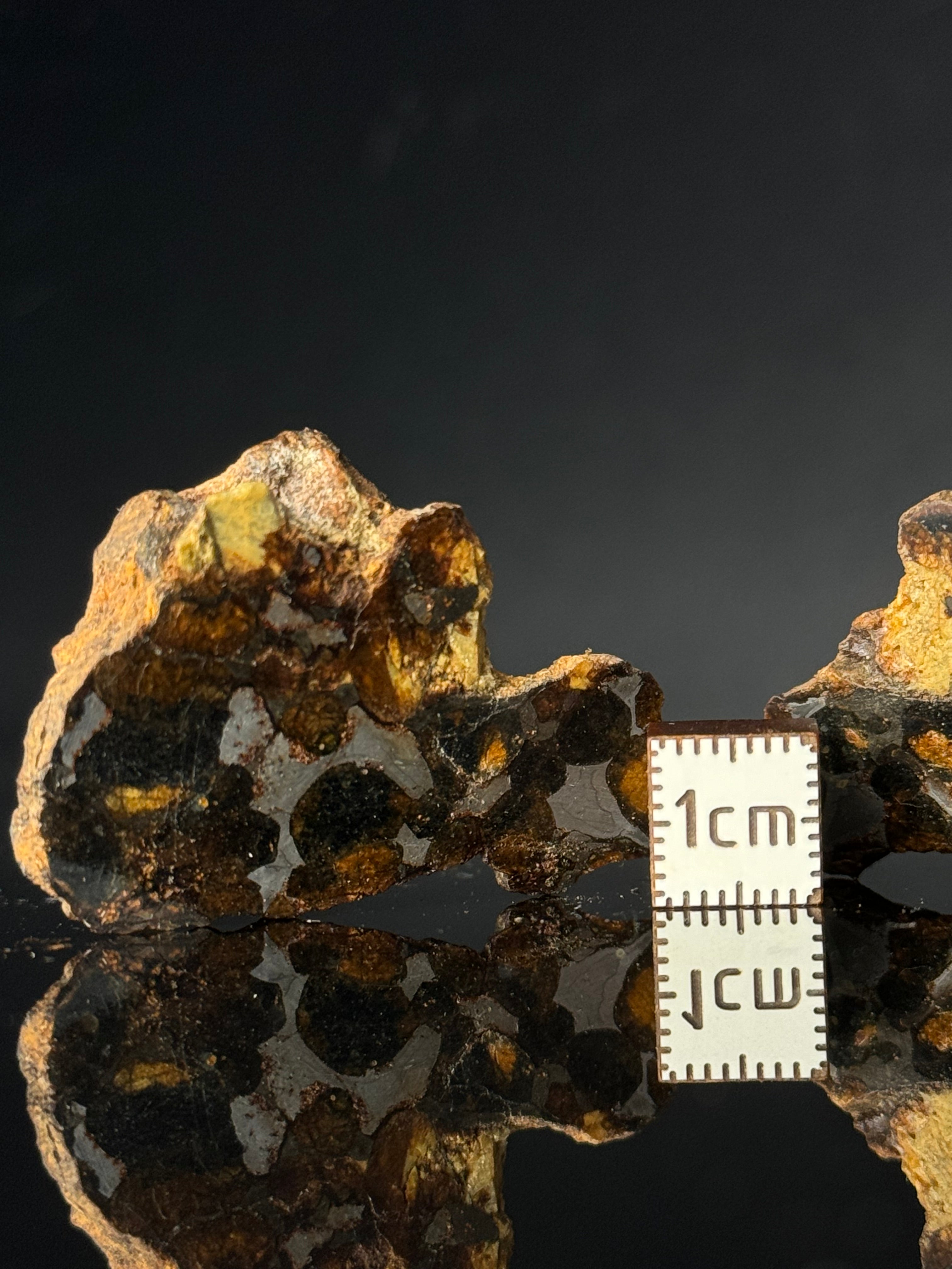 FULL SERICHO METEORITE FROM KENYA, IN TWO HALVES. TOTAL WEIGHT: 51,5 GRAMS.