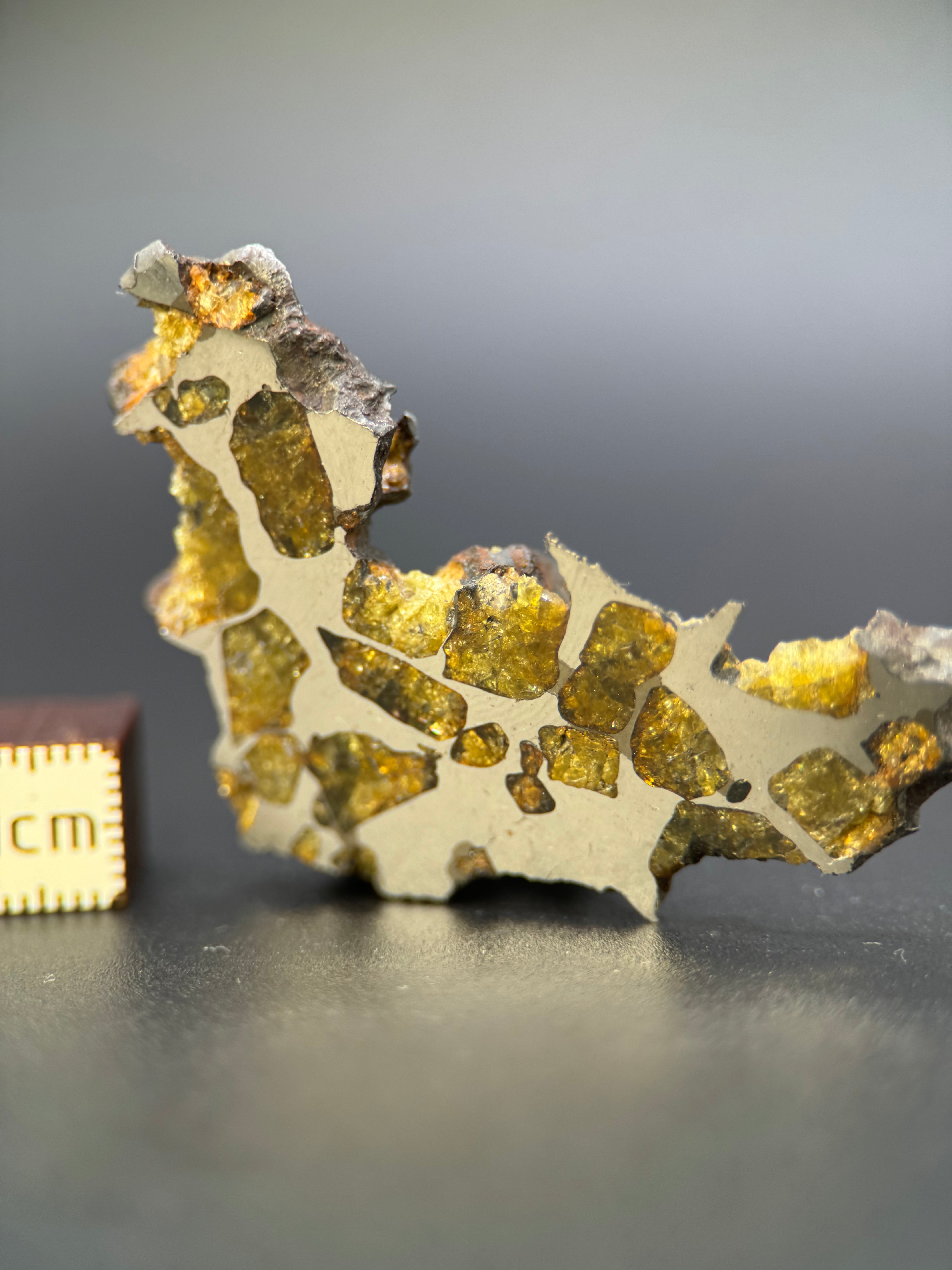 IMILAC PALLASITE METEORITE, END CUT, CHILE. 25,2 GRAMS.