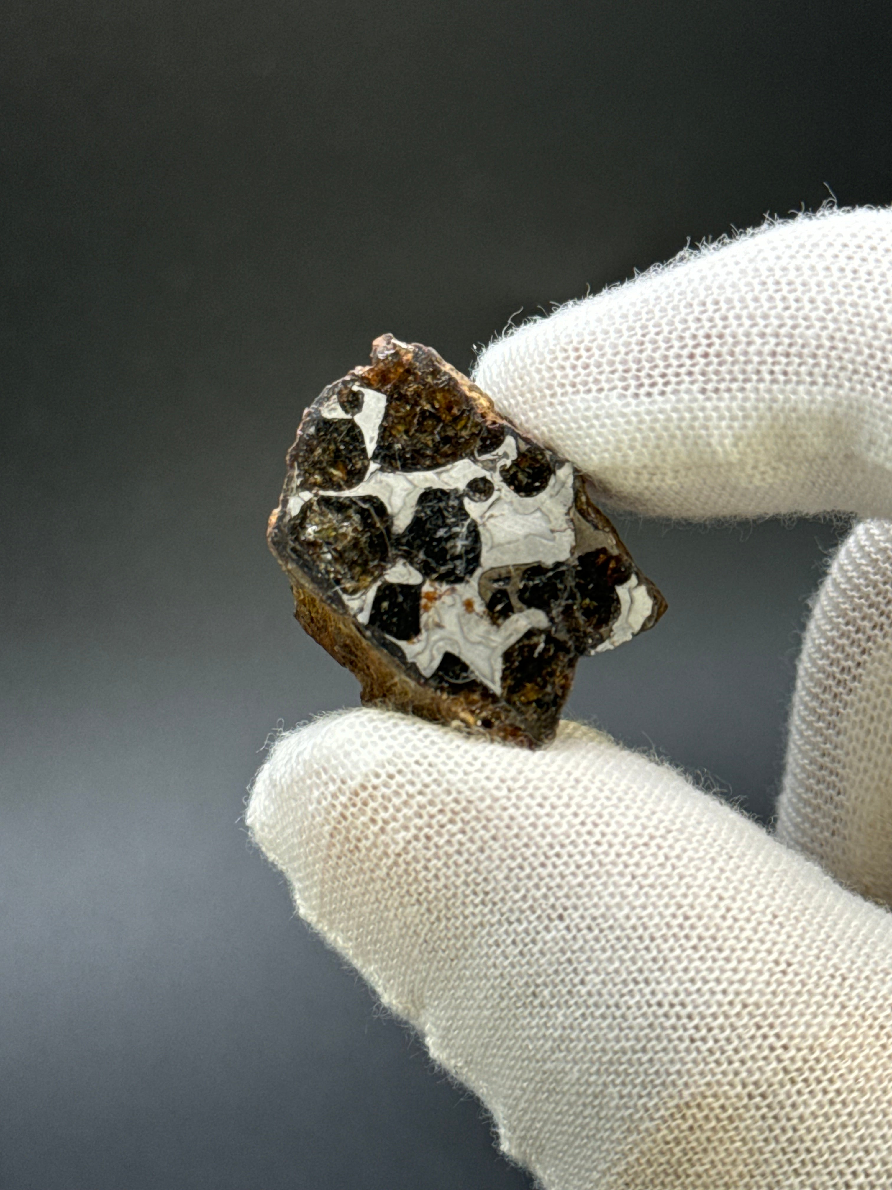 SERICHO PALLASITE METEORITE, KENYA. 13,49 GRAMS END-CUT