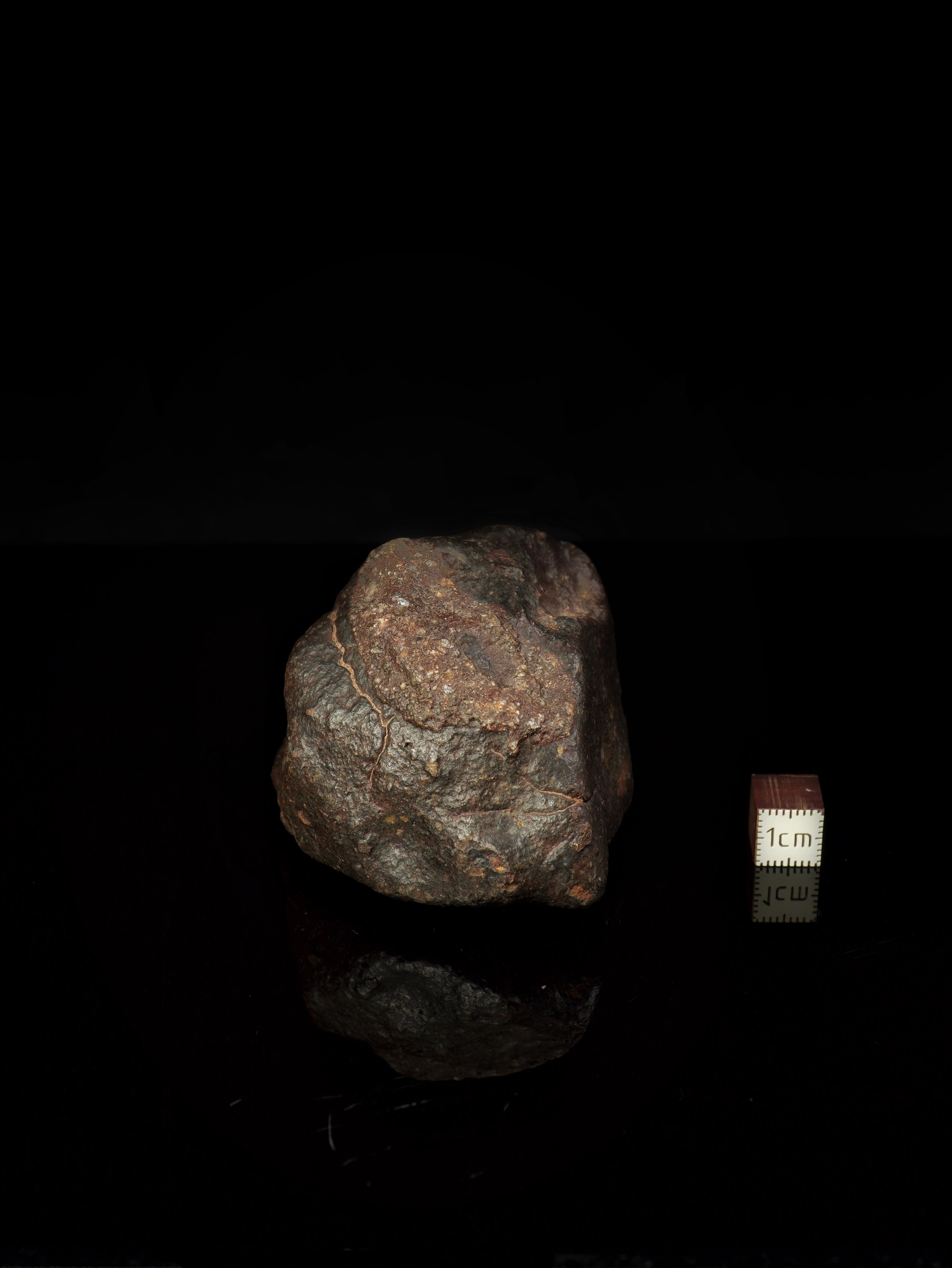 CHONDRITE METEORITE, NORTH WEST AFRICA. 310 GRAMS.
