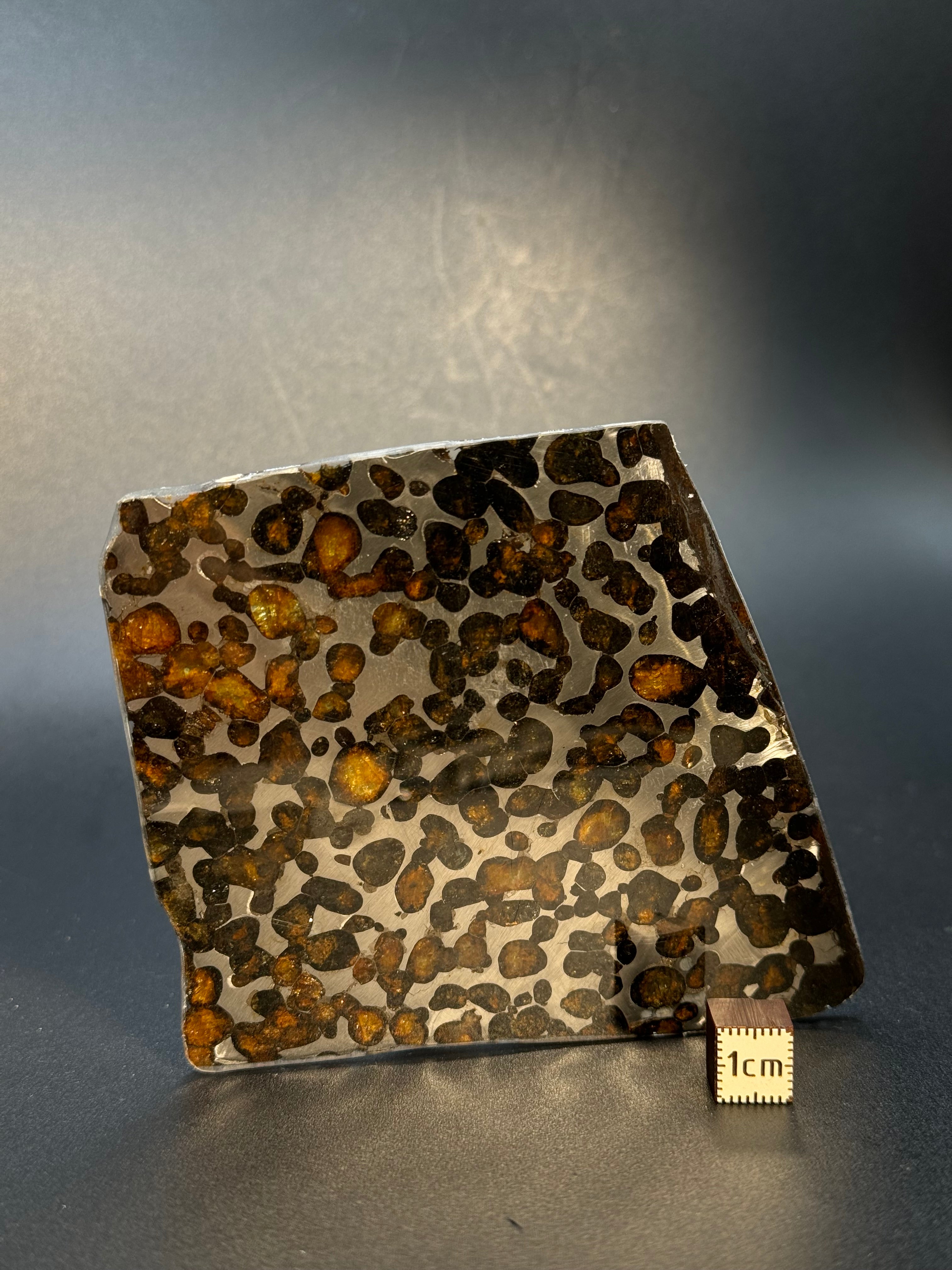 SERICHO METEORITE, KENYA. 58 GRAMS SLICE