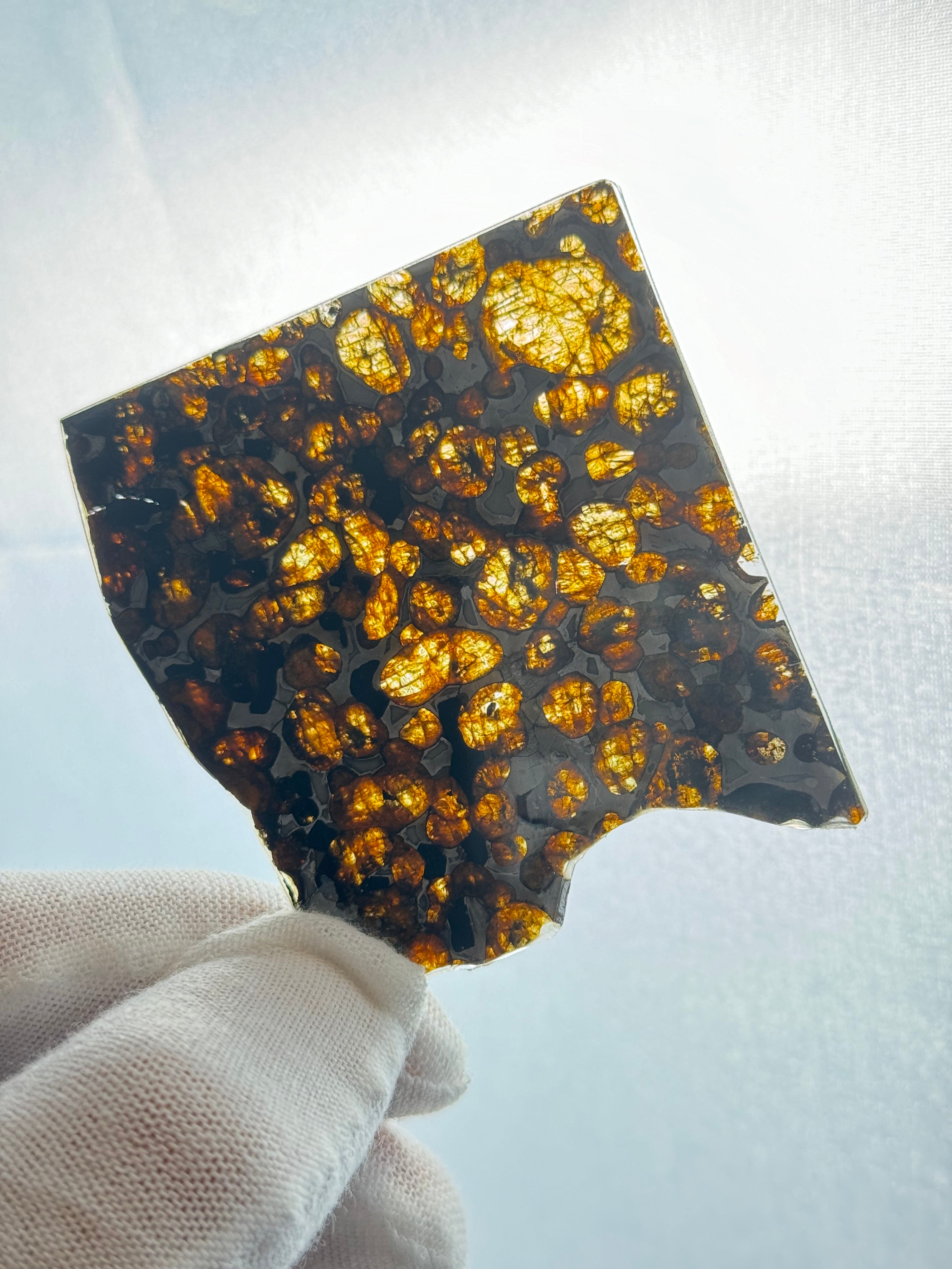 SERICHO METEORITE, KENYA. 19 GRAMS SLICE