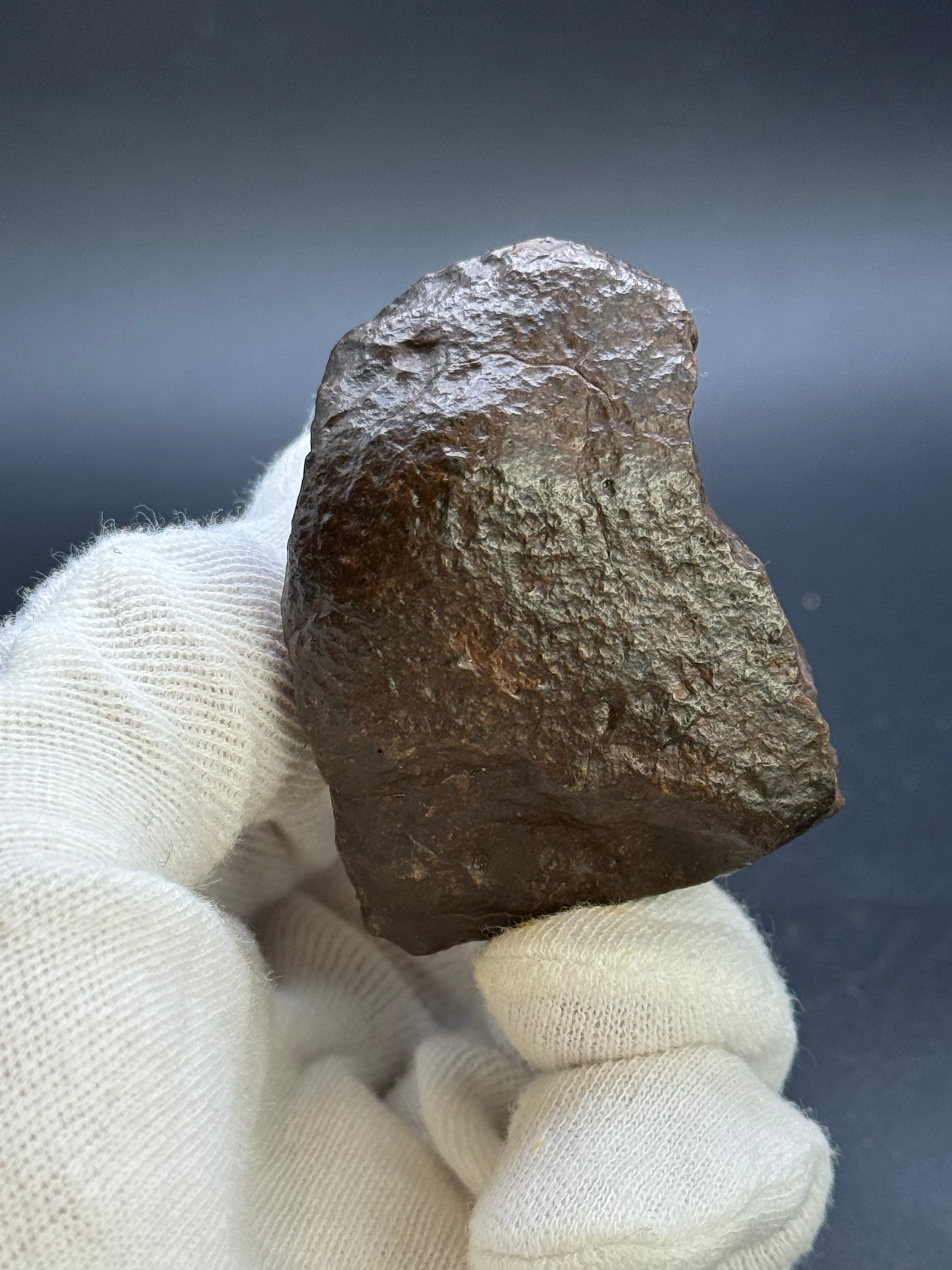 CHONDRITE METEORITE, NORTH WEST AFRICA. 159 GRAMS.