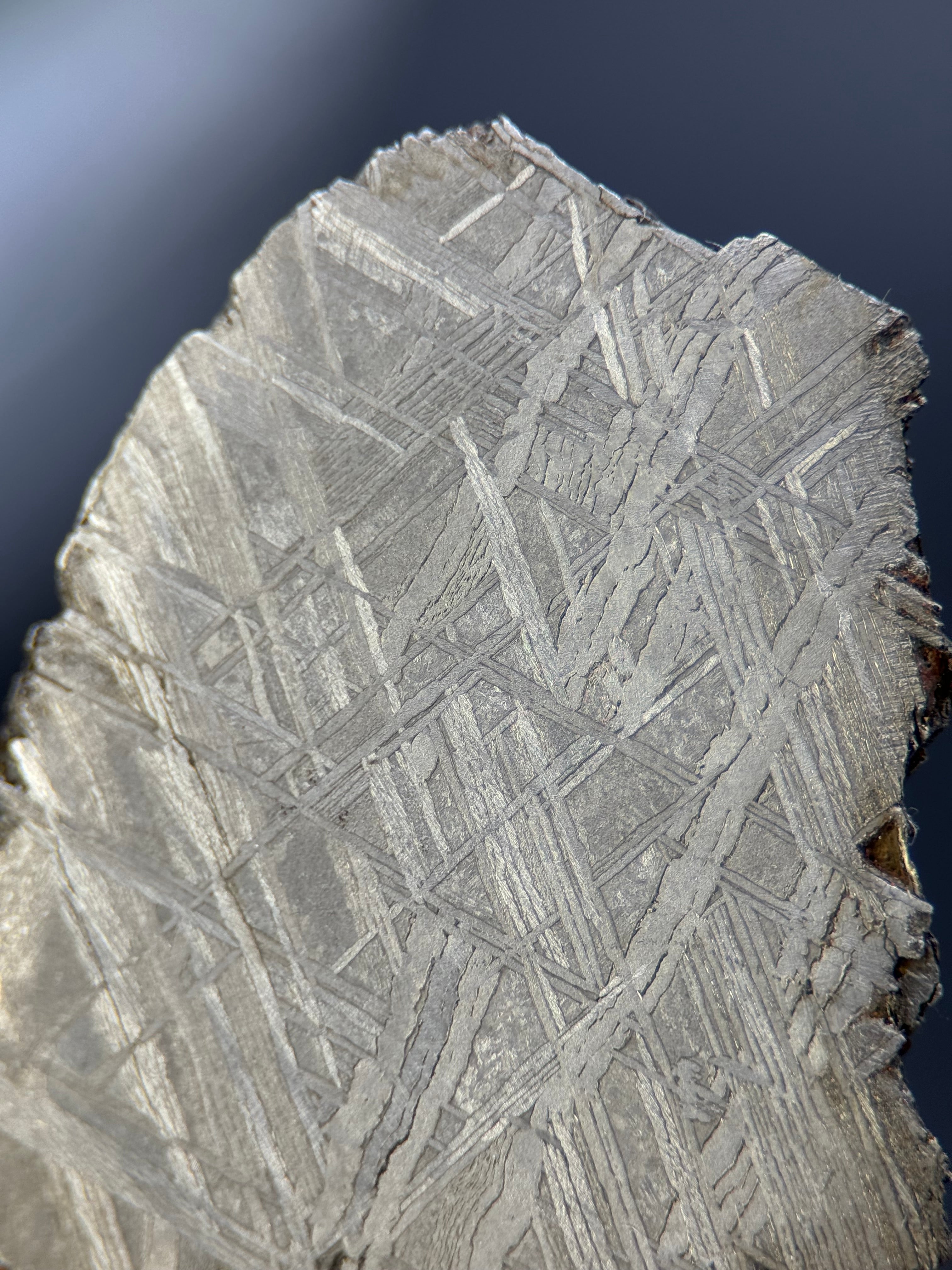 MUONIONALUSTA METEORITE, SWEDEN. 242 GRAMS END-CUT.