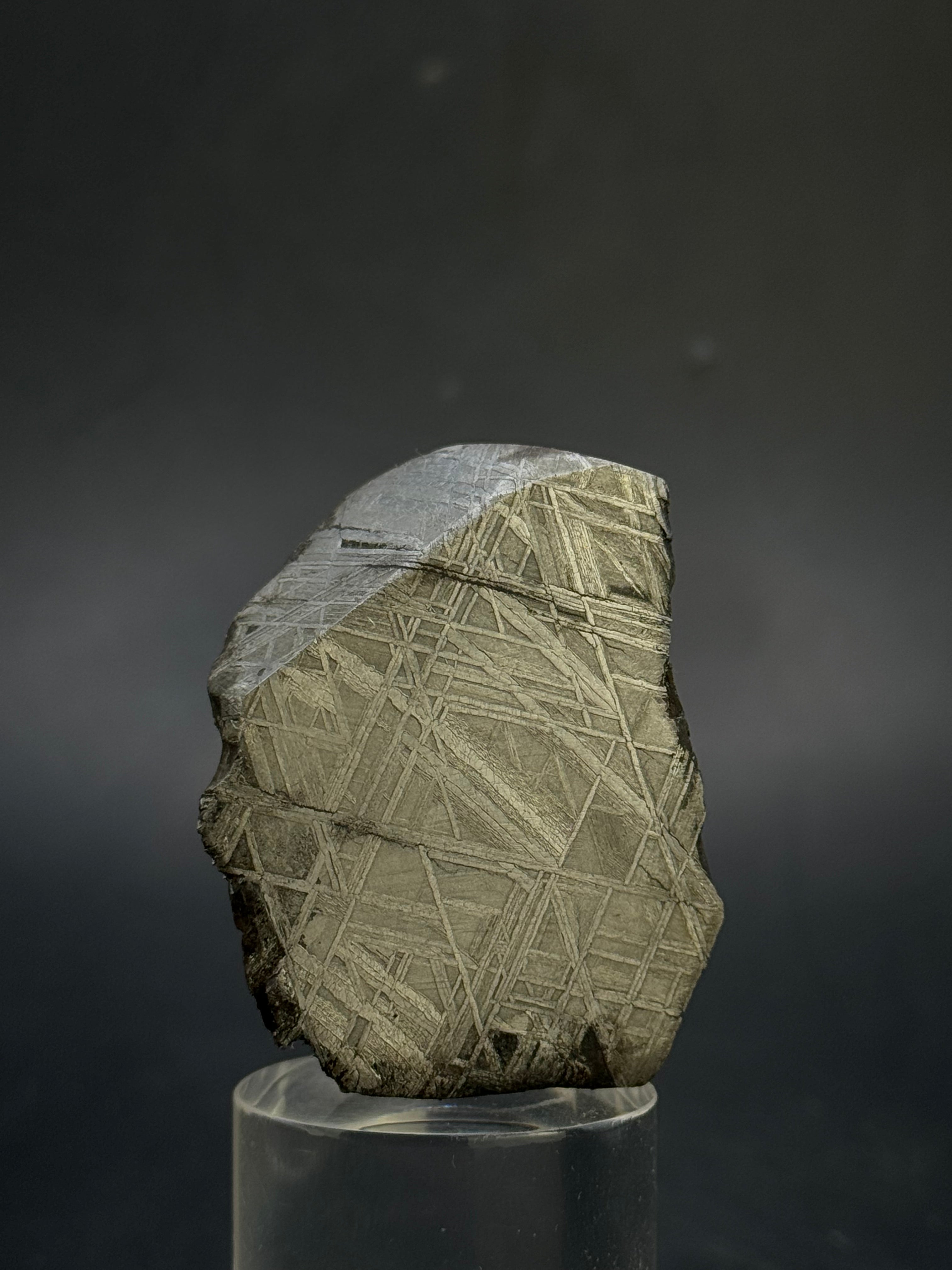 MUONIONALUSTA METEORITE, SWEDEN. 123,5 GRAMS END-CUT.