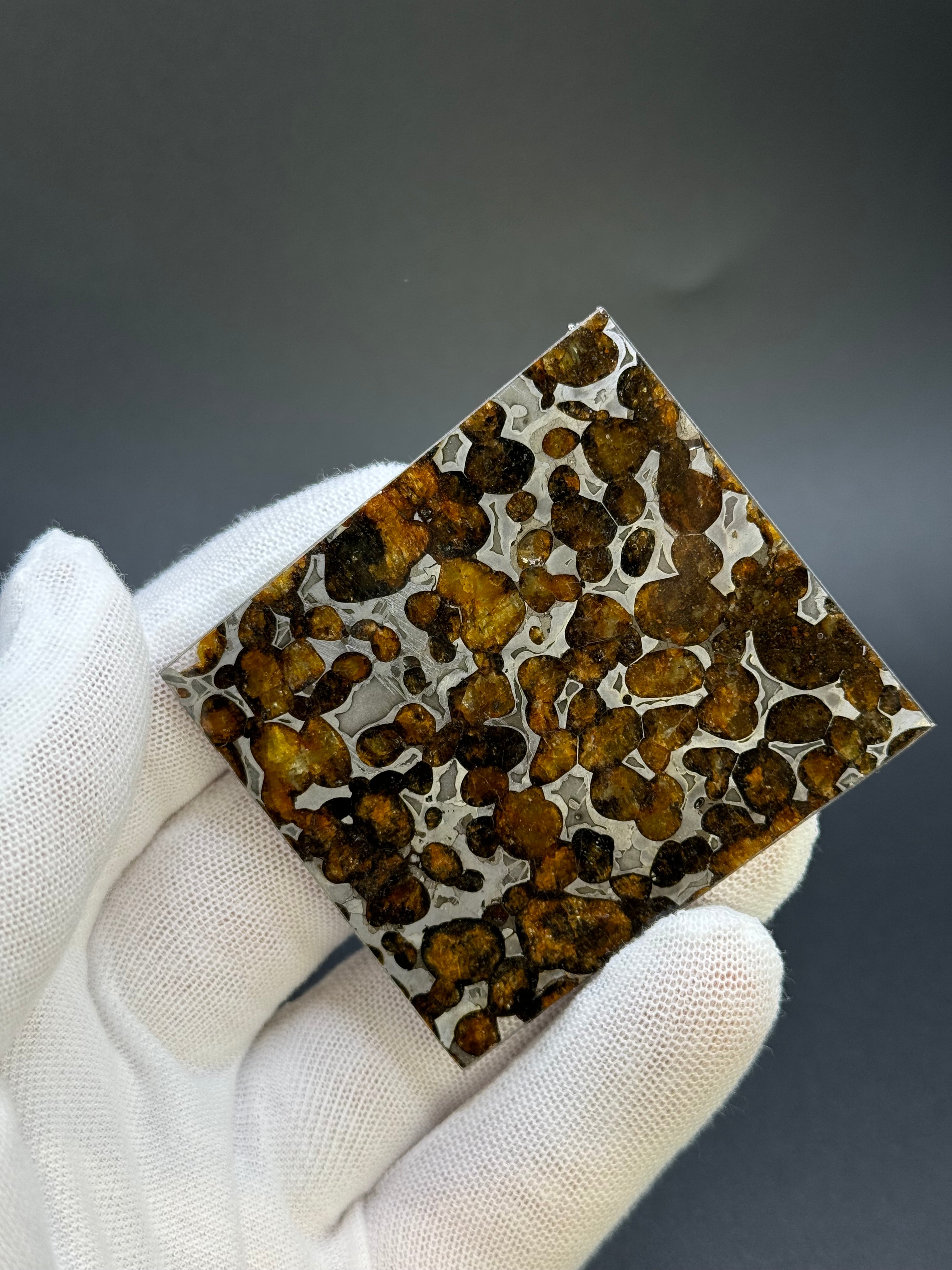 SERICHO METEORITE, KENYA. 22,24 GRAMS SLICE