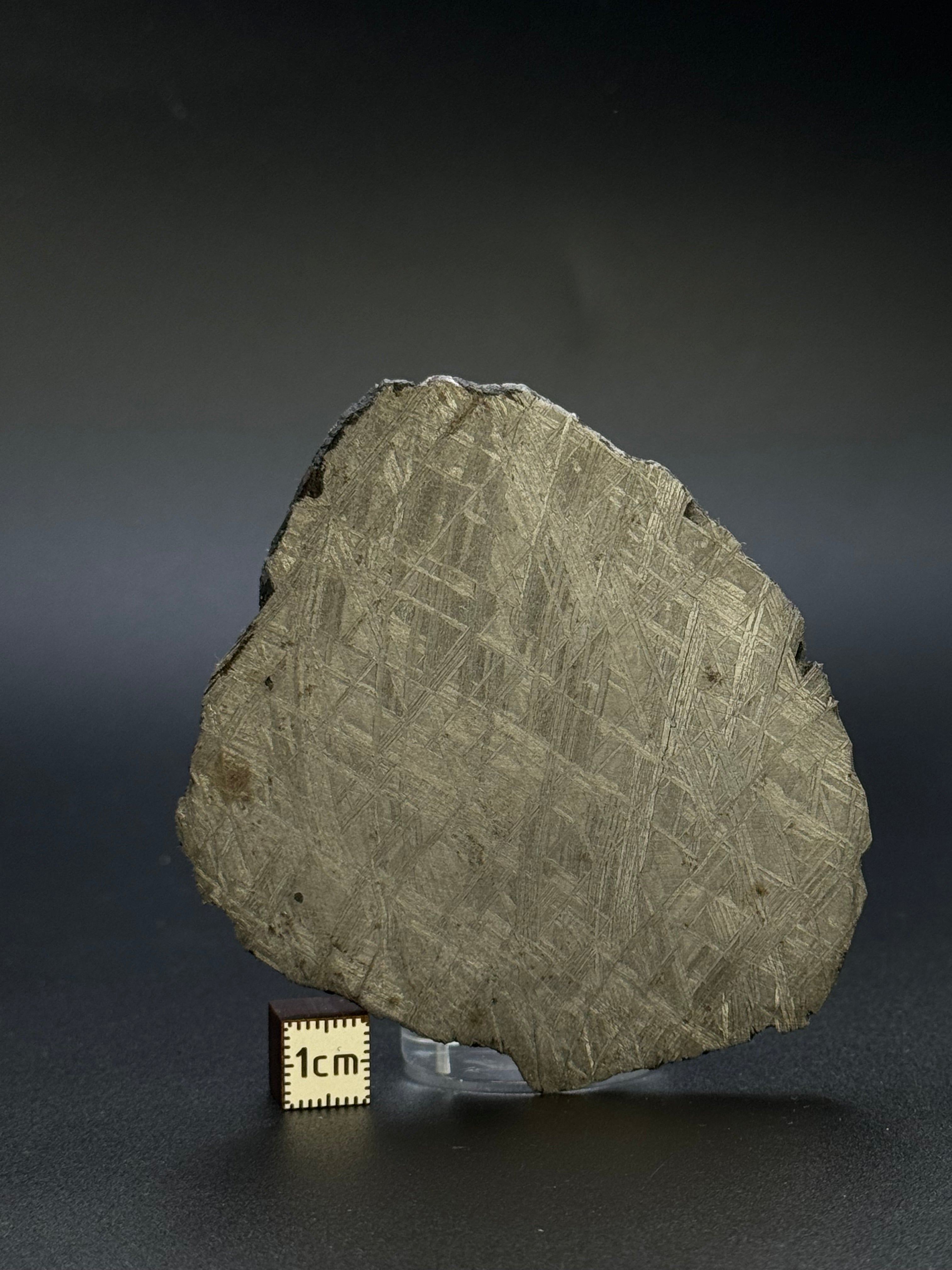 MUONIONALUSTA METEORITE, SWEDEN. 72,07 GRAMS.