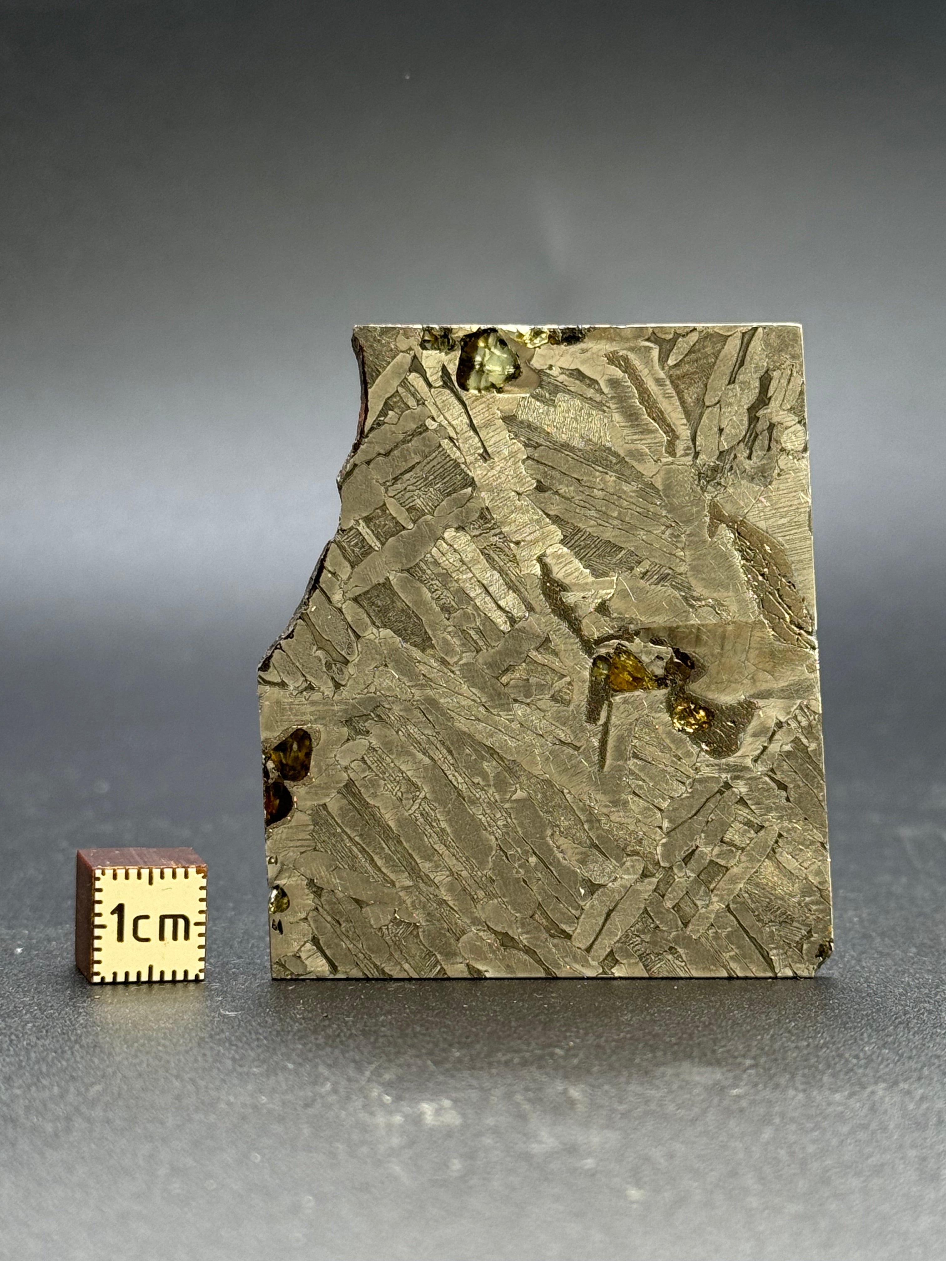 SEYMCHAN METEORITE, MAGADAN REGION, RUSSIA. 33,3 GRAMS.