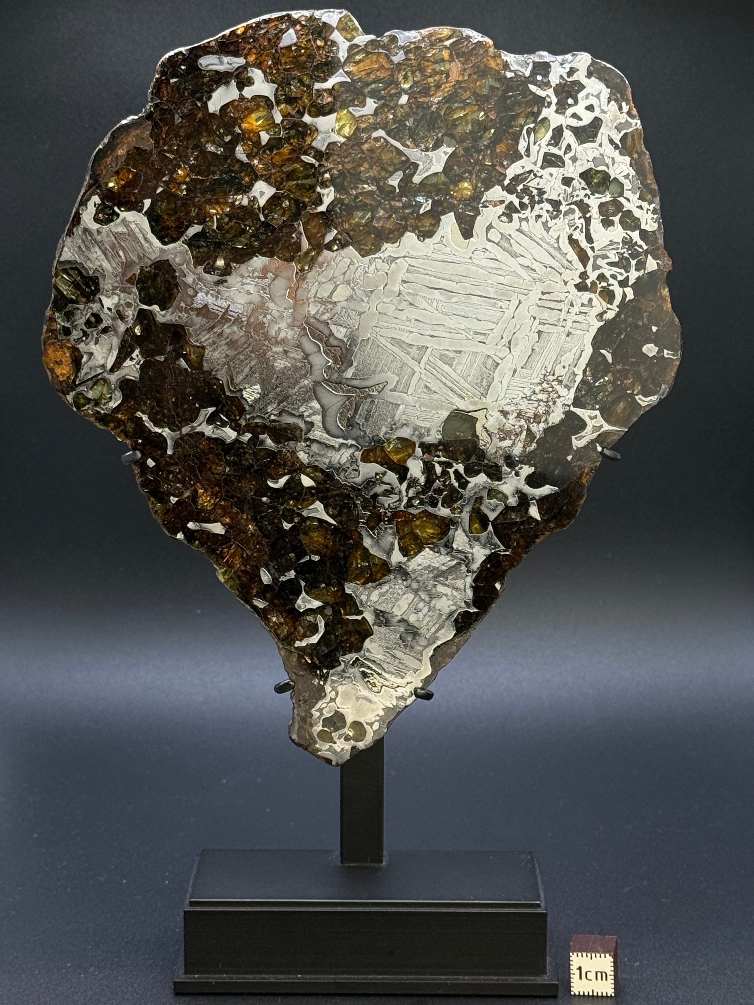 SEYMCHAN METEORITE, MAGADAN REGION, RUSSIA. 187  GRAMS.