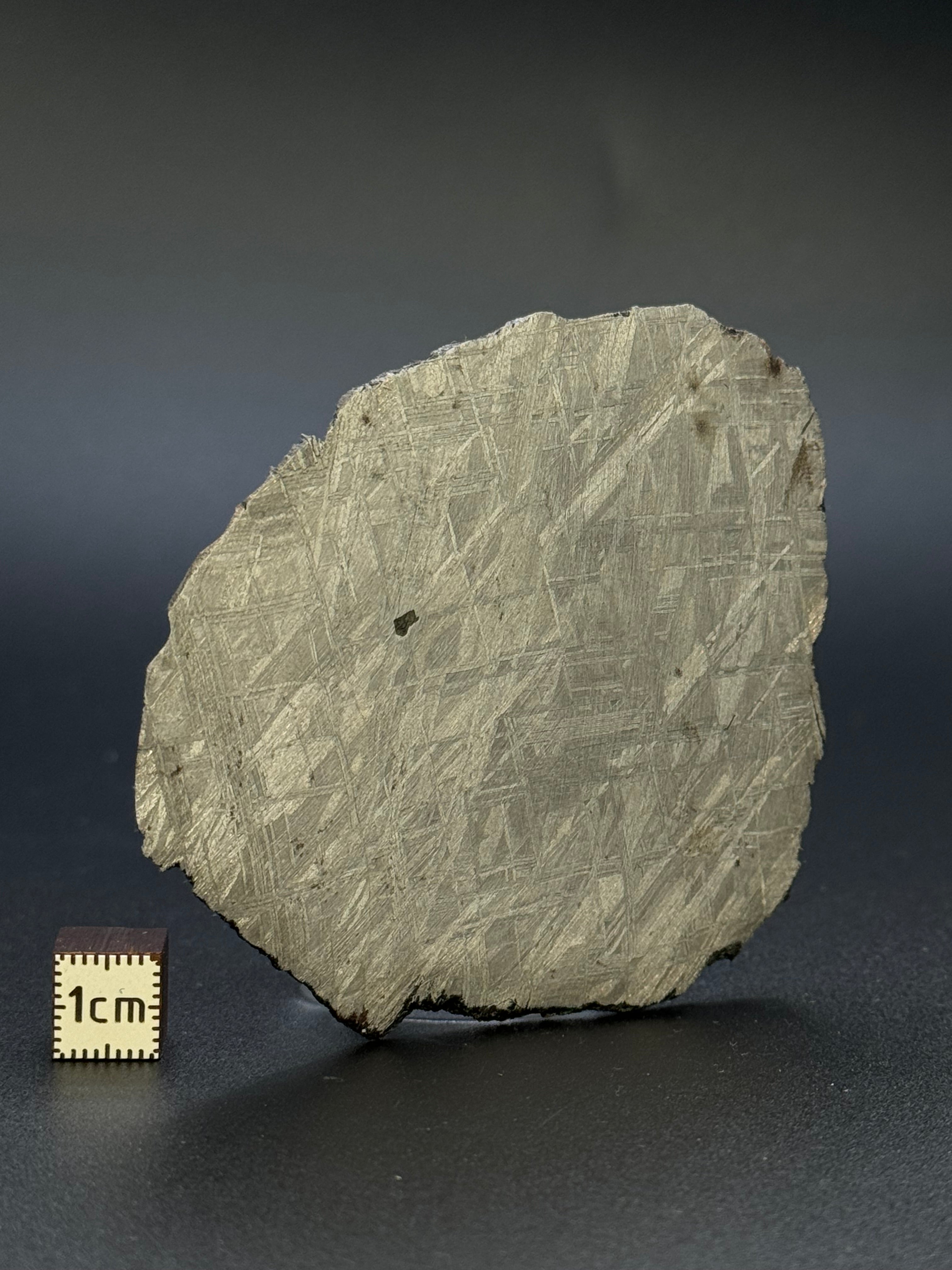 MUONIONALUSTA METEORITE, SWEDEN. 72,07 GRAMS.