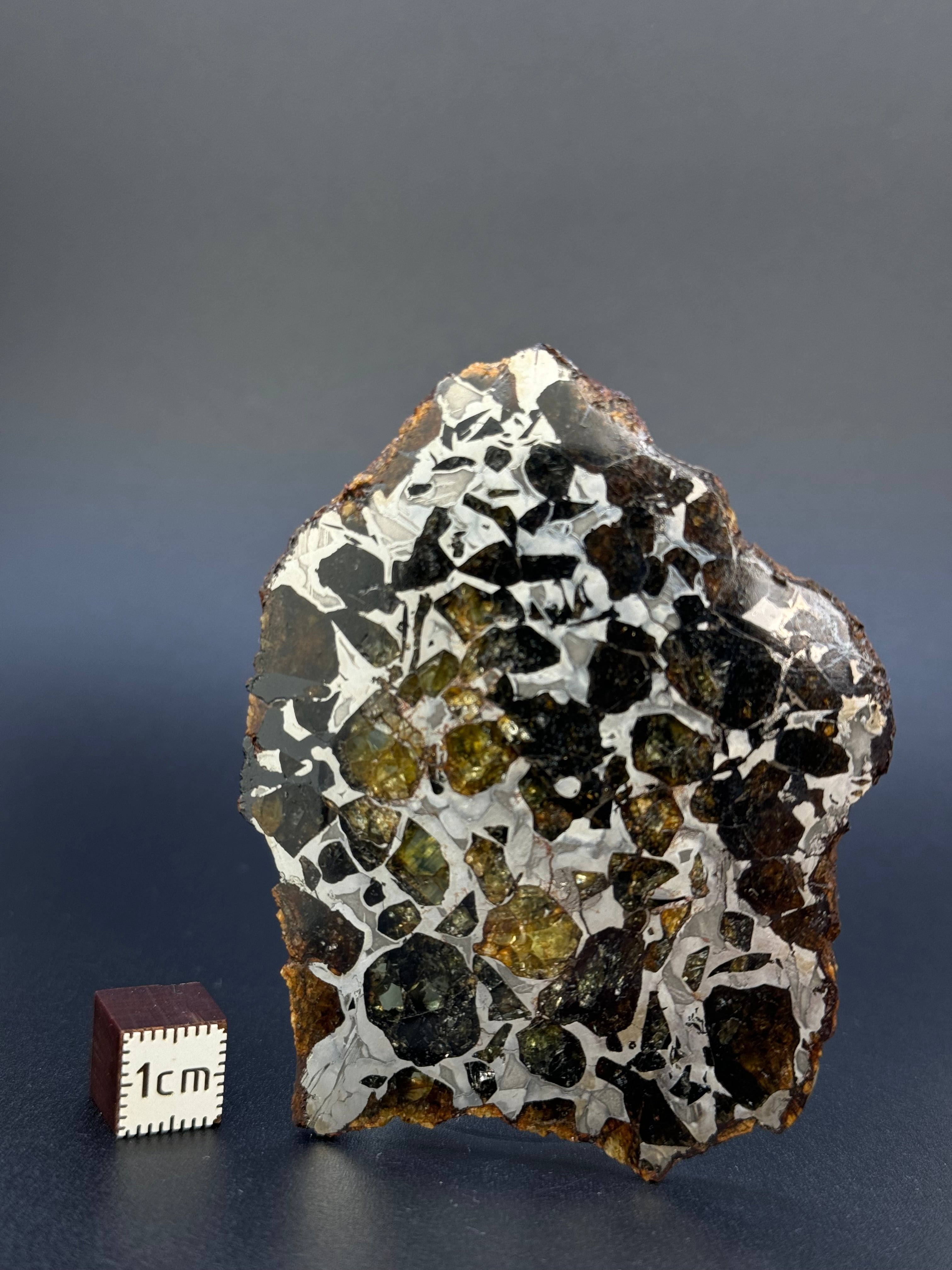SEYMCHAN METEORITE, MAGADAN REGION, RUSSIA. 34,25 GRAMS SLICE.