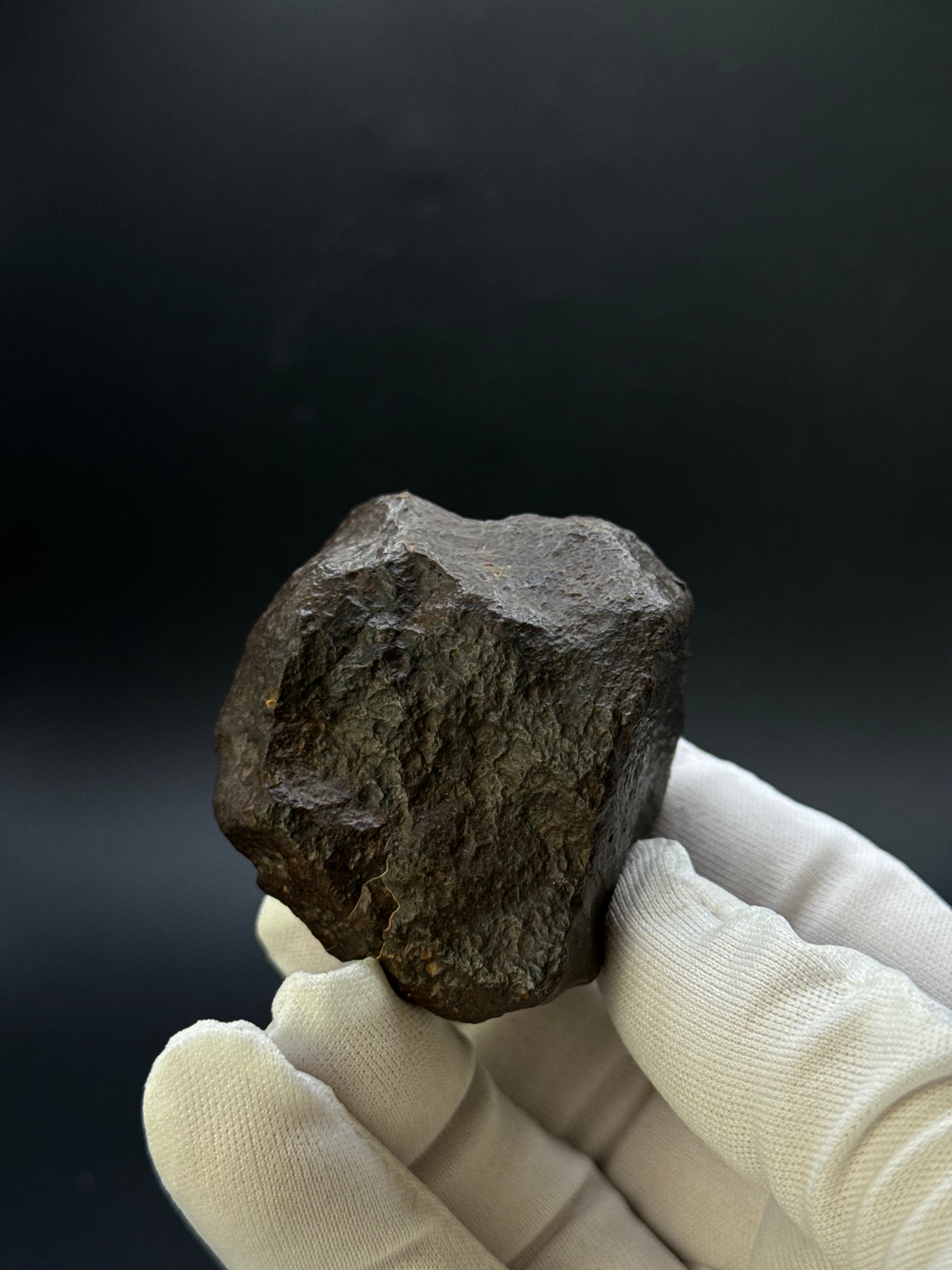 CHONDRITE METEORITE, NORTH WEST AFRICA. 184,6 GRAMS.
