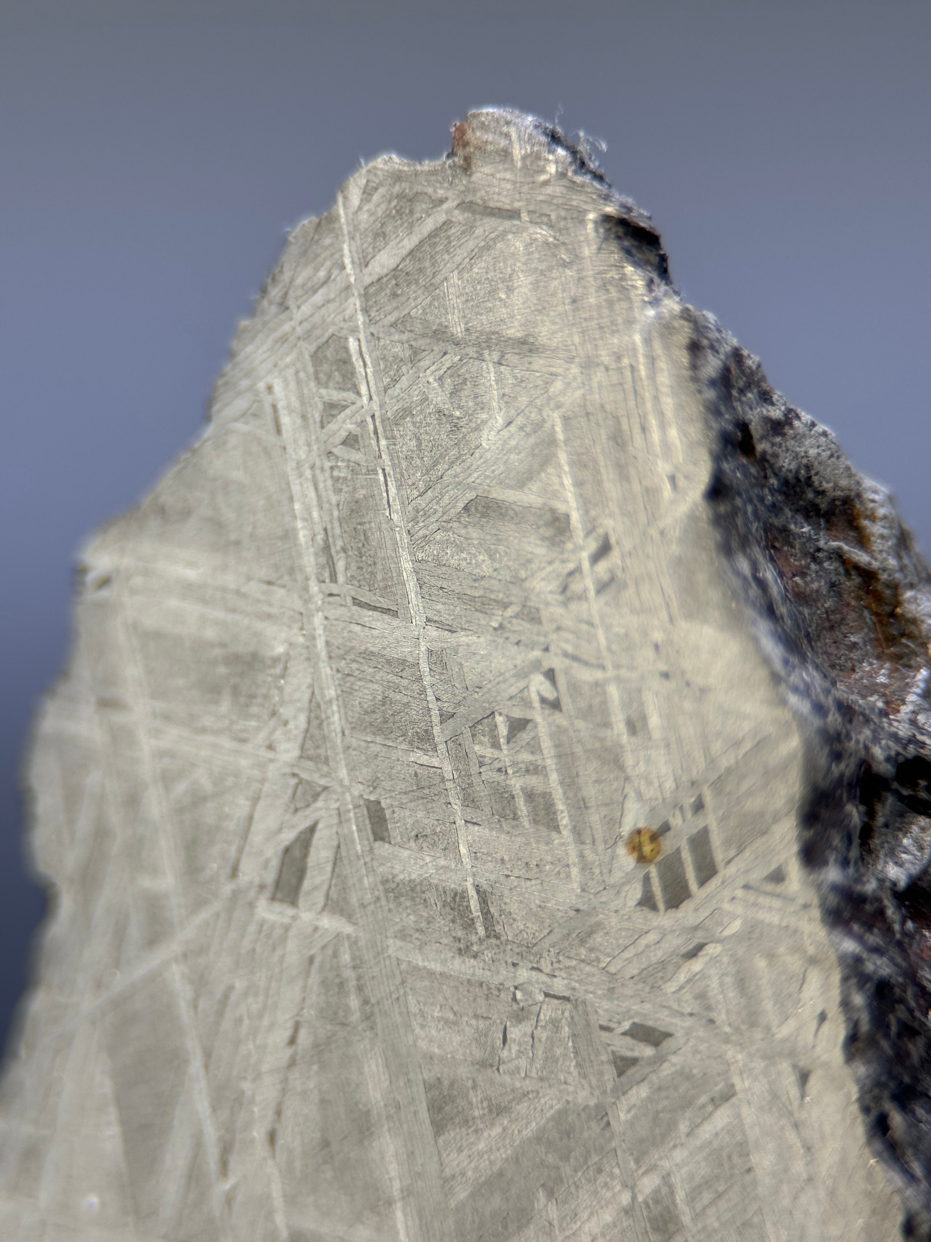 MUONIONALUSTA METEORITE, SWEDEN. 129,8 GRAMS END-CUT