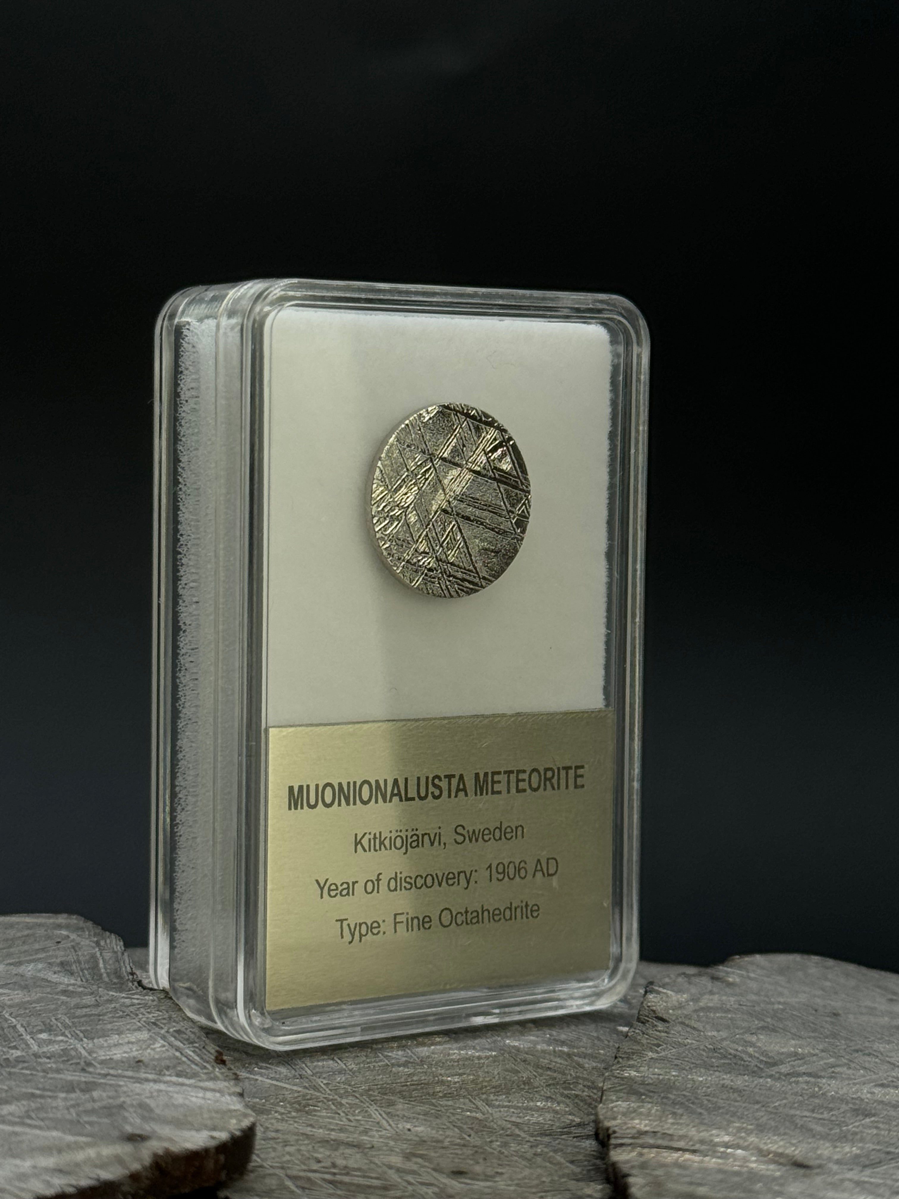 Muonionalusta meteorite, Sweden. Display box. 15mm diameter plate.