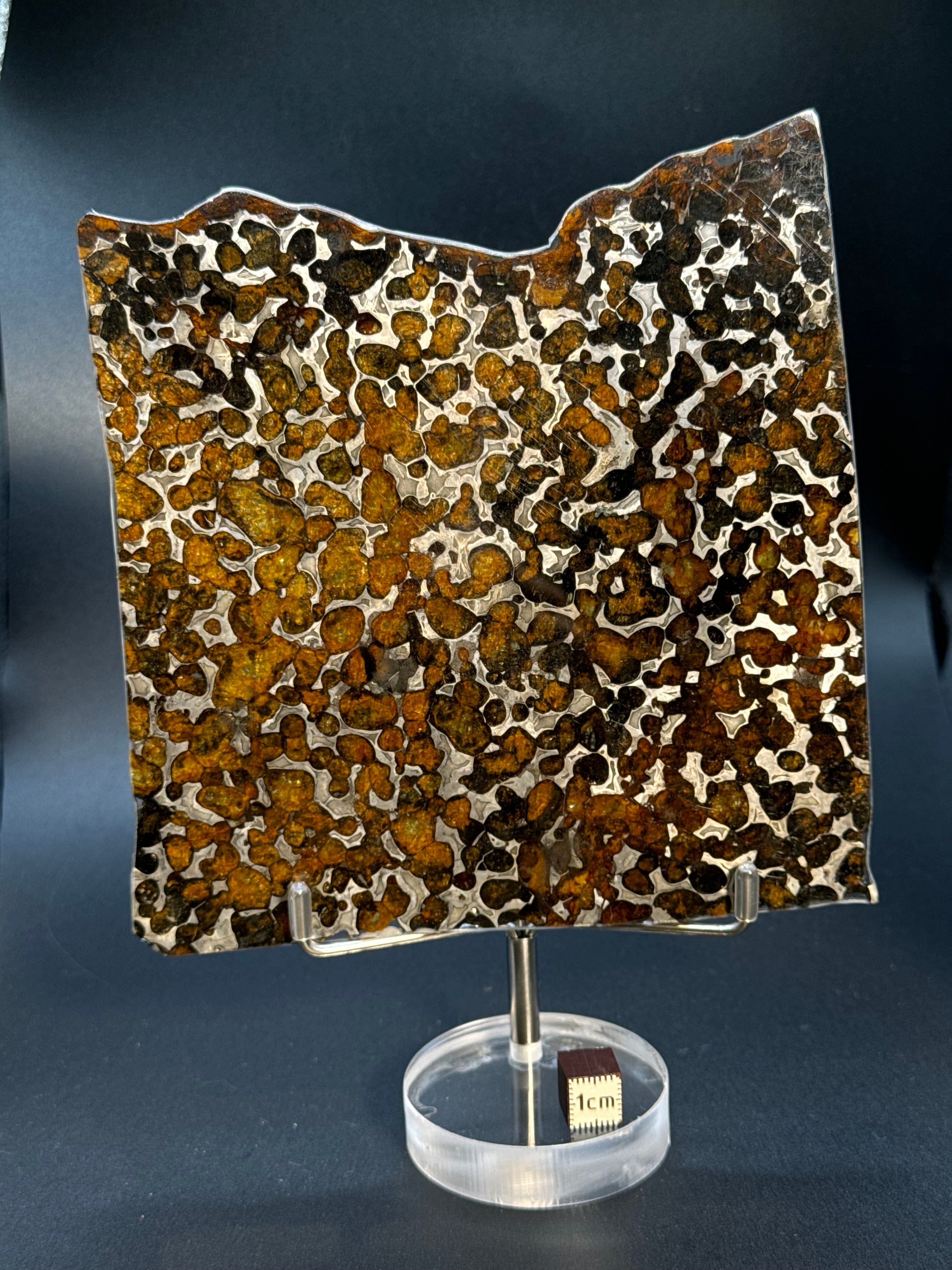 SERICHO METEORITE, KENYA. 116 GRAMS SLICE