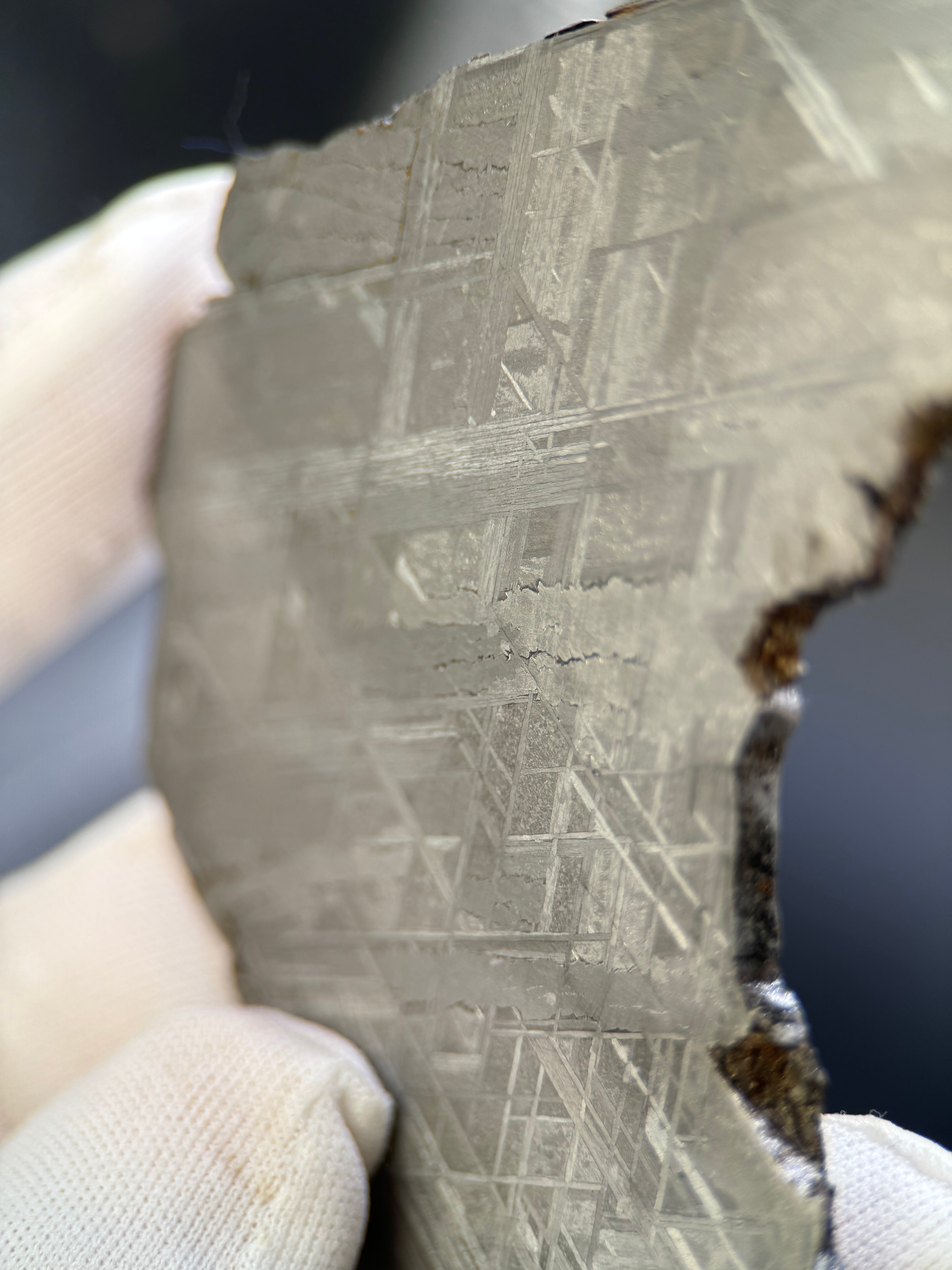 MUONIONALUSTA METEORITE, SWEDEN. 75,91 GRAMS.