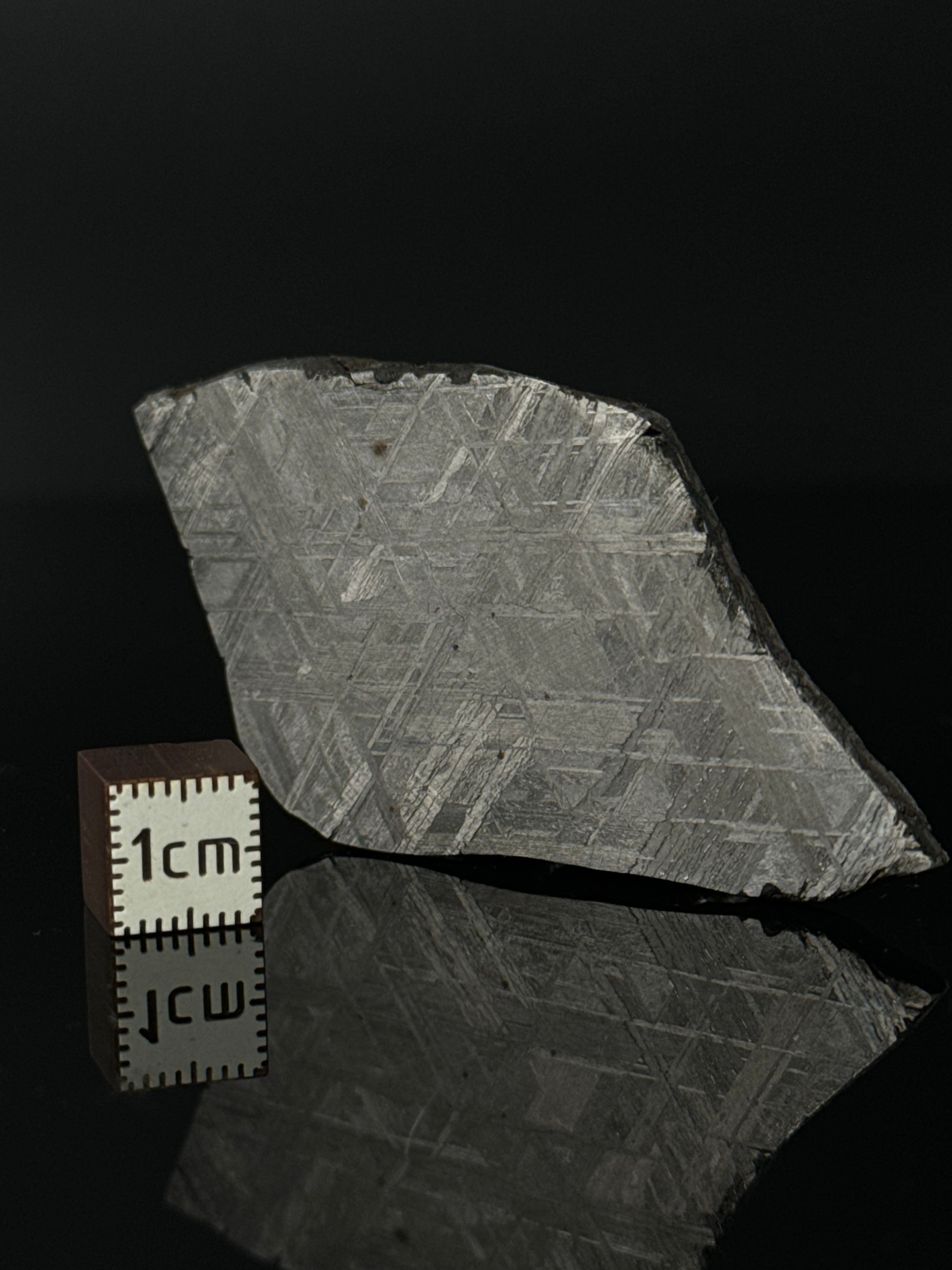 MUONIONALUSTA METEORITE, SWEDEN 42,28 GRAMS.