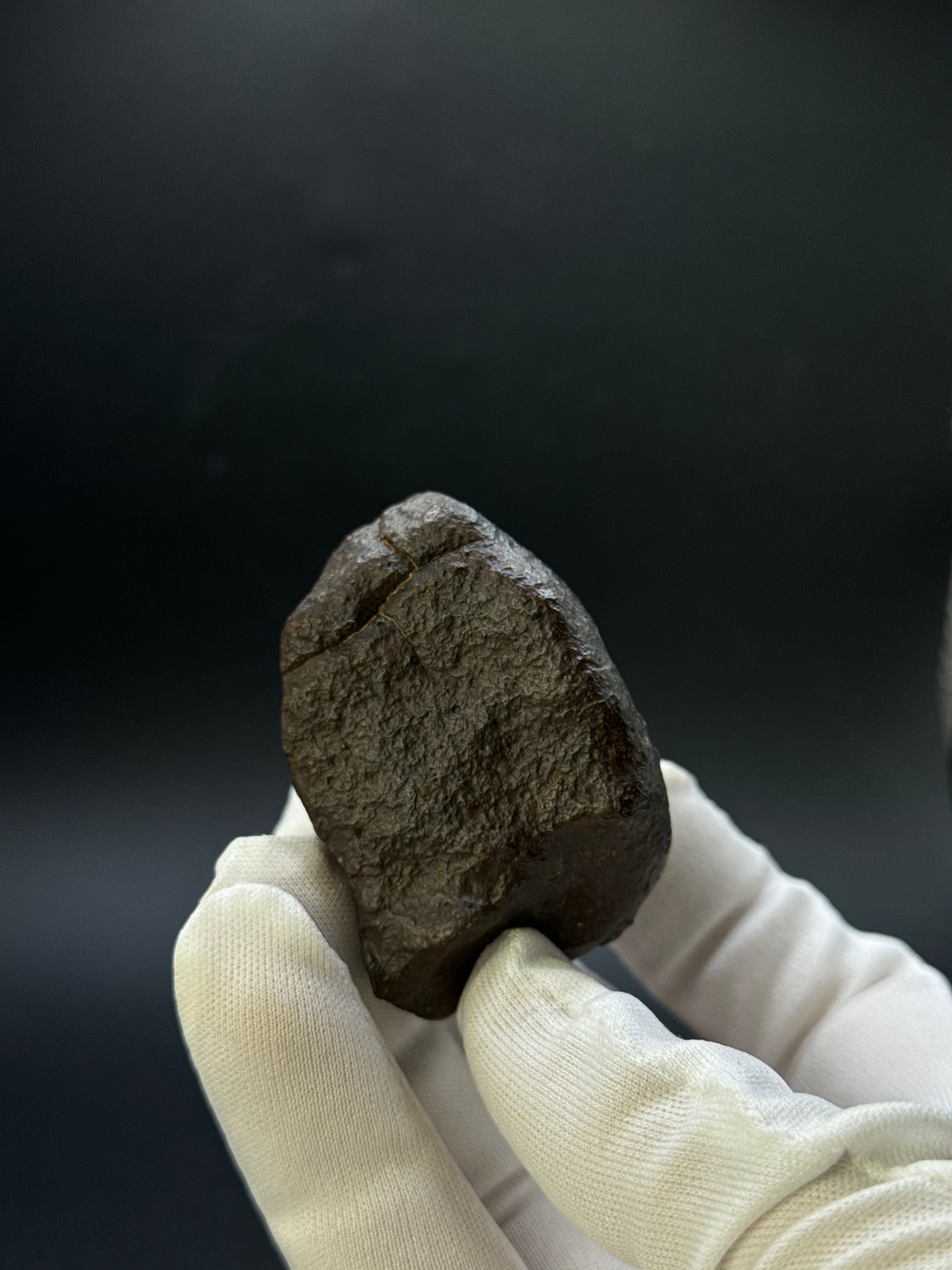 CHONDRITE METEORITE, NORTH WEST AFRICA. 184,6 GRAMS.