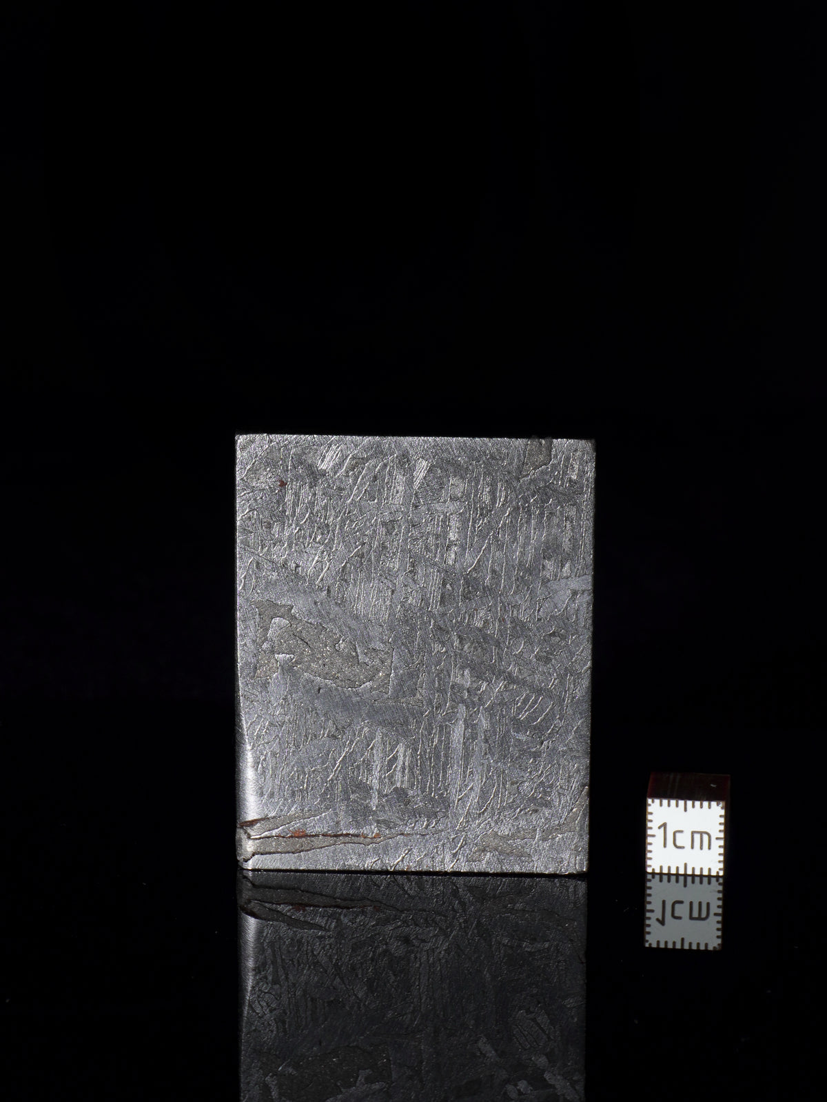 Aletai Meteorite, Gobi Desert, China. 91,86 grams.
