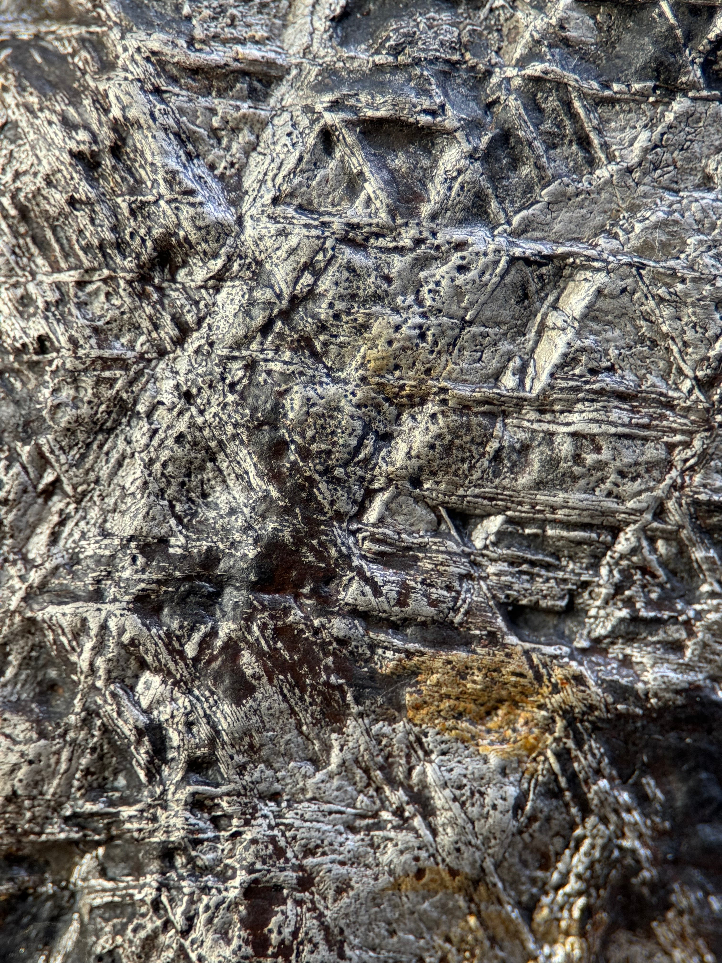 MUONIONALUSTA METEORITE, SWEDEN. 132,8 GRAMS END-CUT.