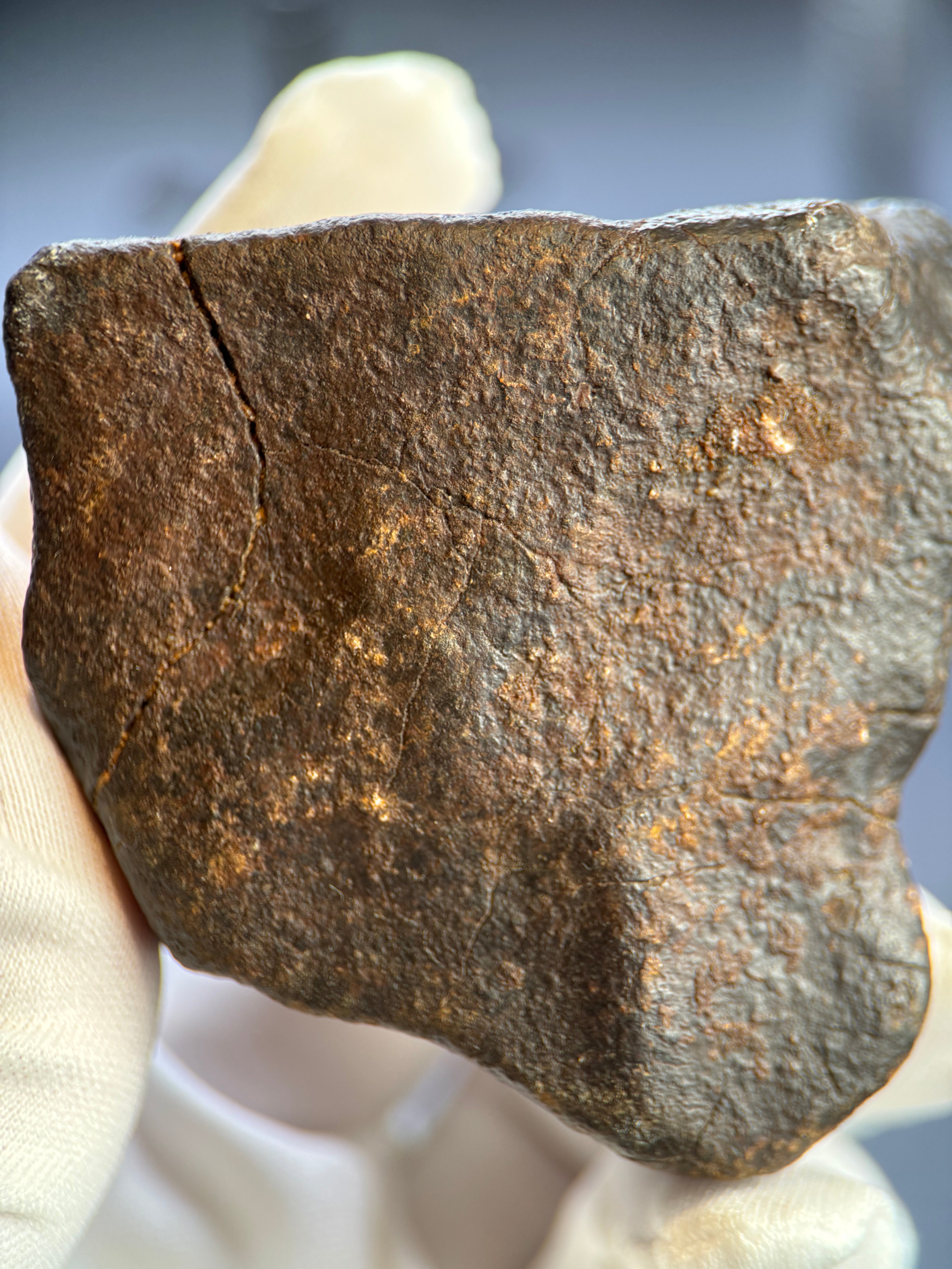 CHONDRITE METEORITE, NORTH WEST AFRICA. 263 GRAMS.
