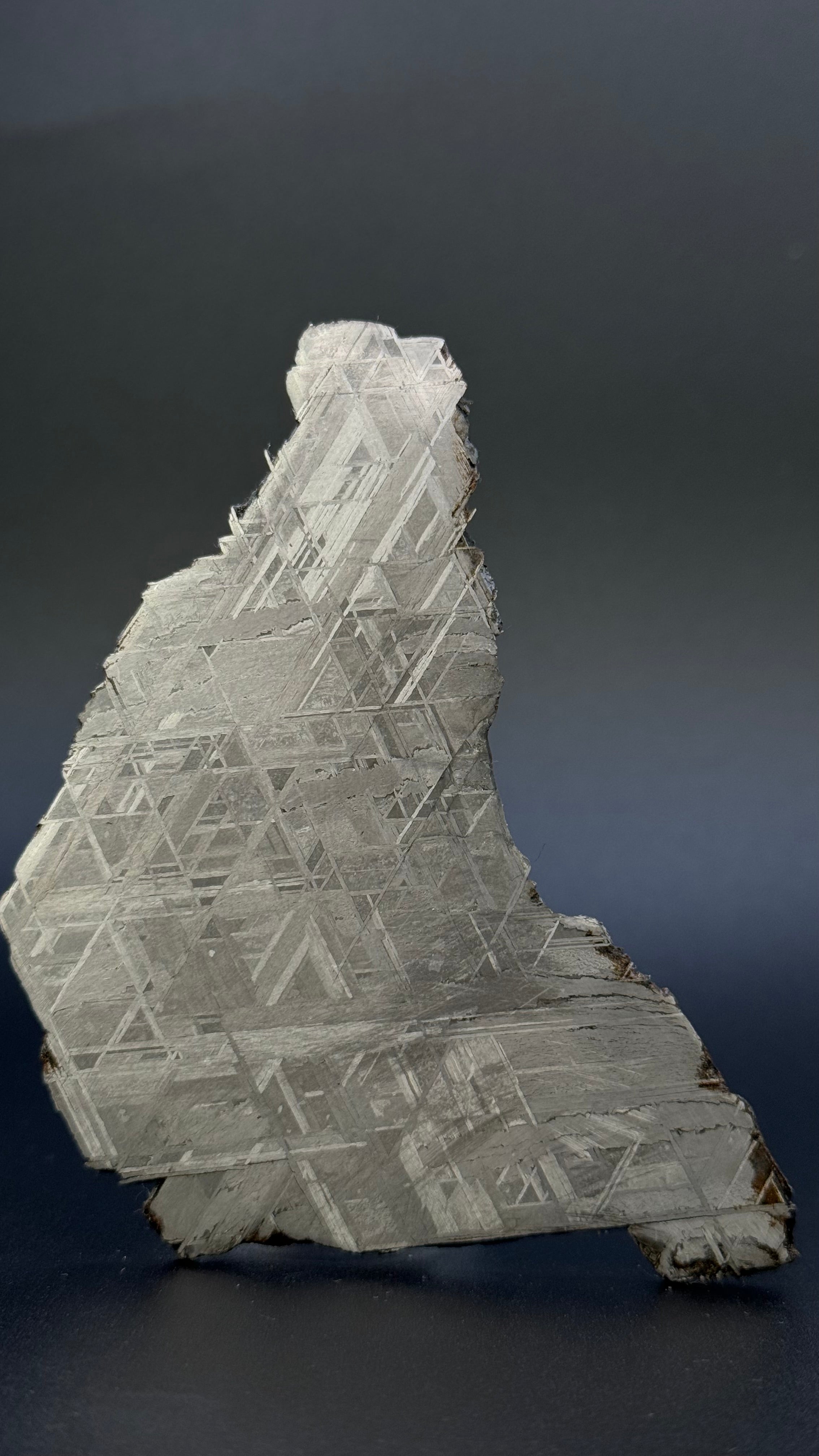 MUONIONALUSTA METEORITE, SWEDEN. 75,91 GRAMS.