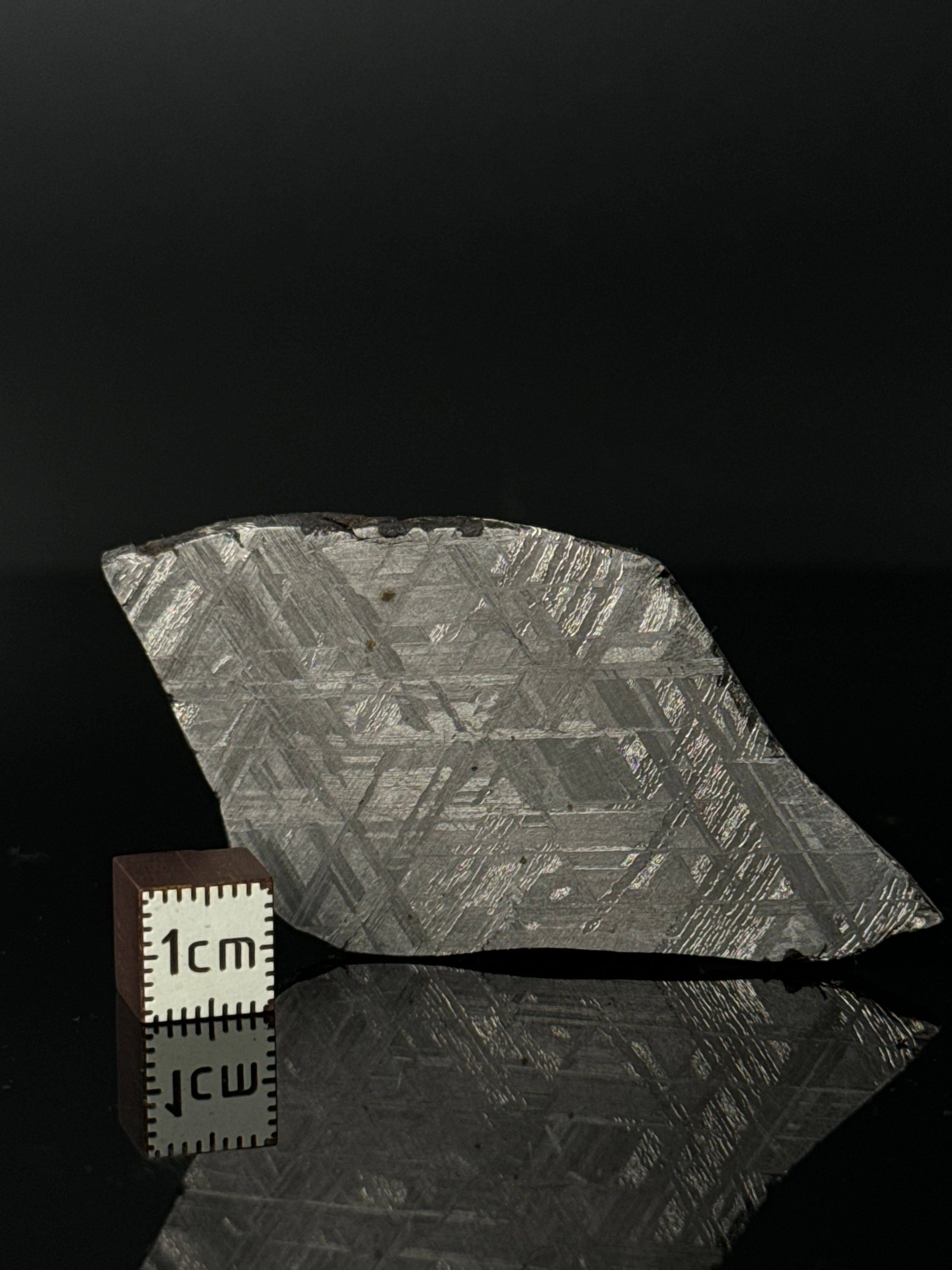 MUONIONALUSTA METEORITE, SWEDEN 42,28 GRAMS.