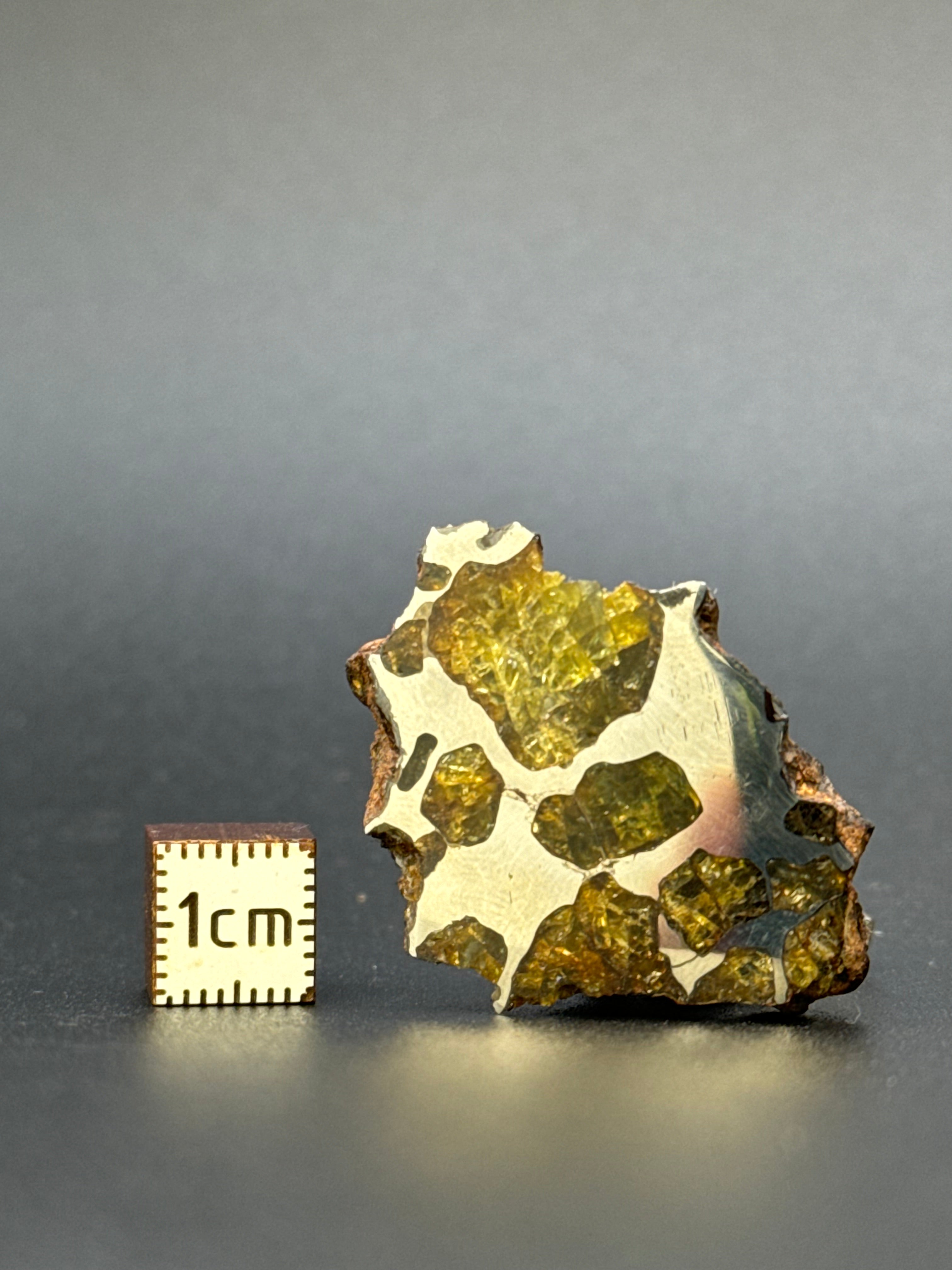 IMILAC PALLASITE METEORITE, END CUT, CHILE. 19,55 GRAMS.