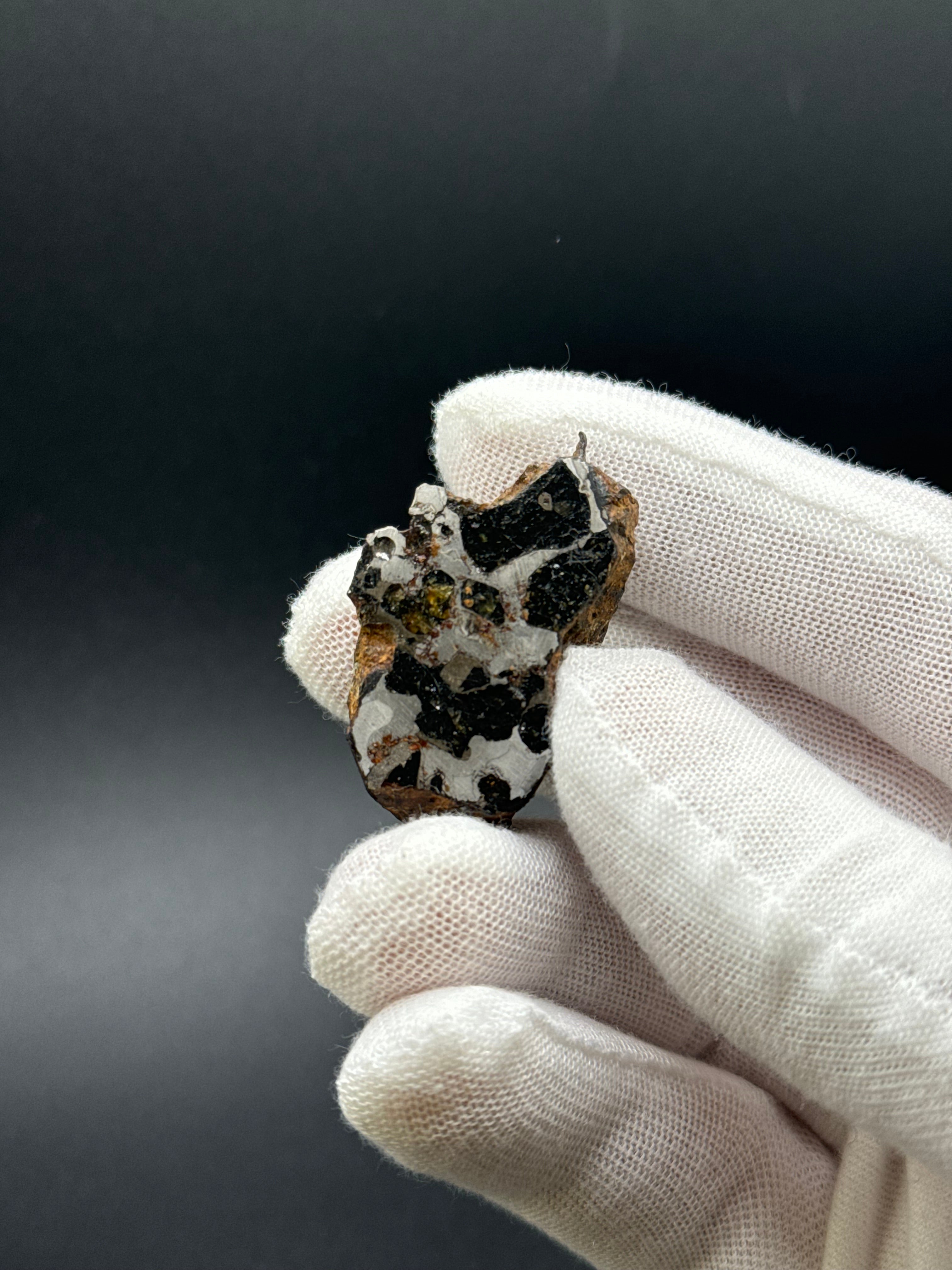 SERICHO PALLASITE METEORITE, KENYA. 31,69 GRAMS END-CUT.