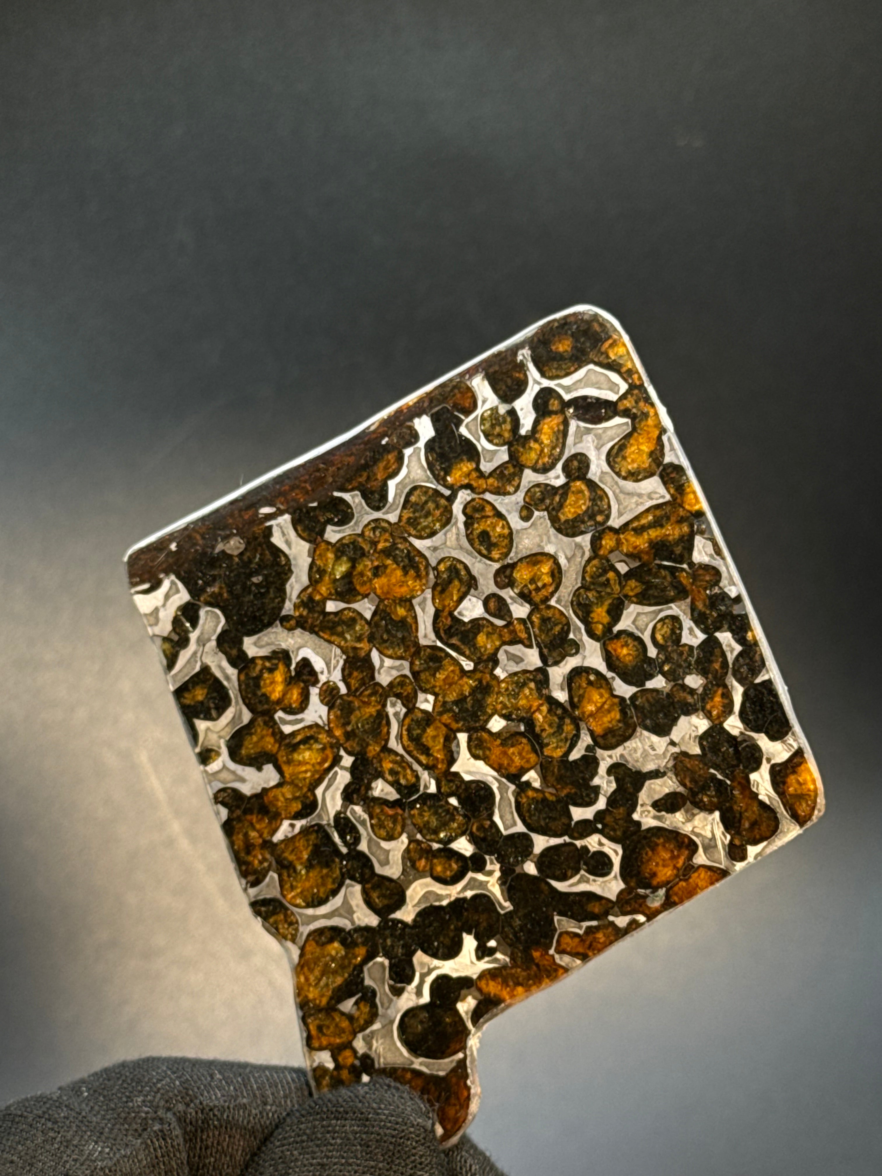 SERICHO METEORITE, KENYA. 30 GRAMS SLICE