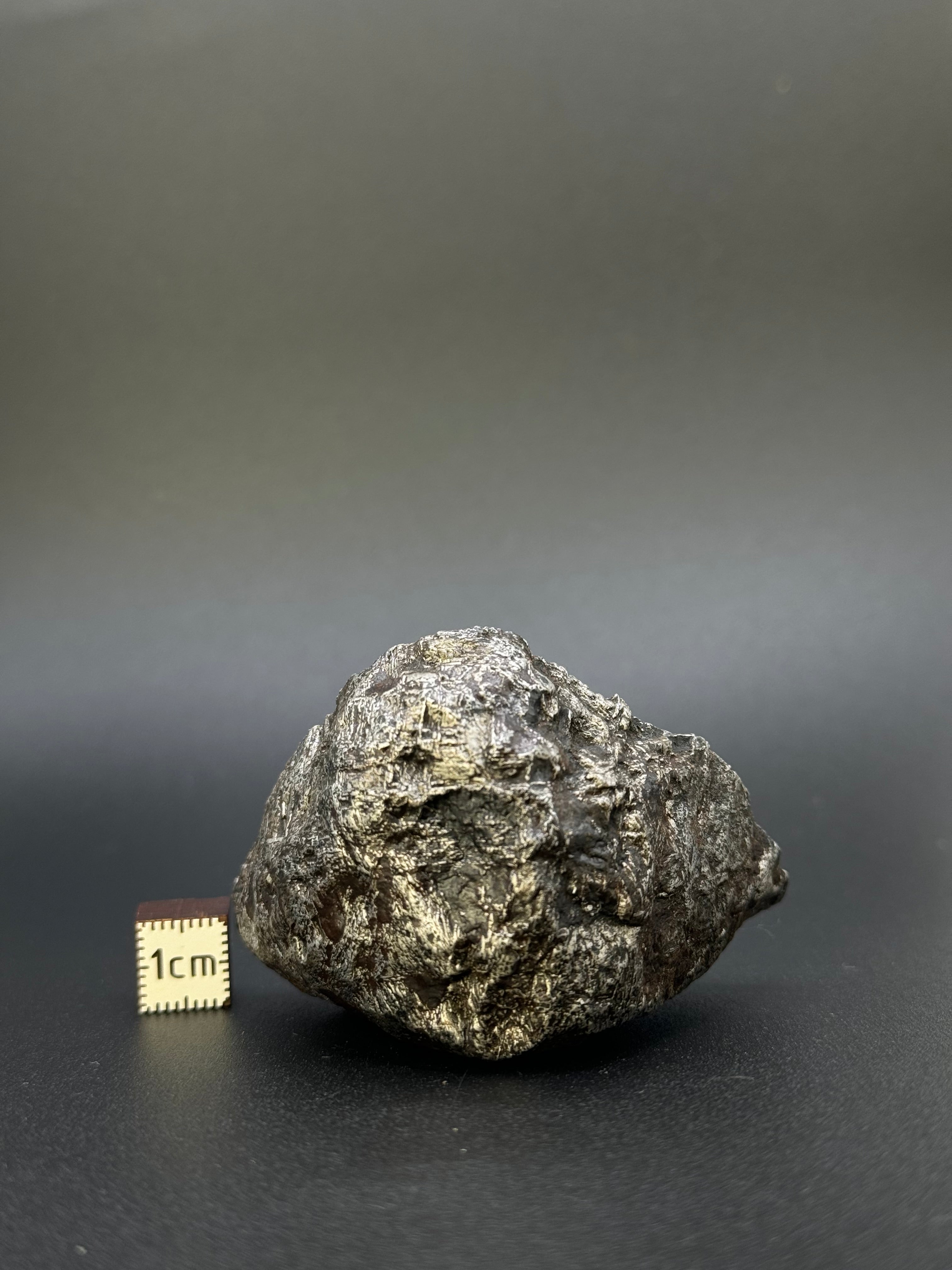 MUONIONALUSTA METEORITE, SWEDEN. 242 GRAMS END-CUT.