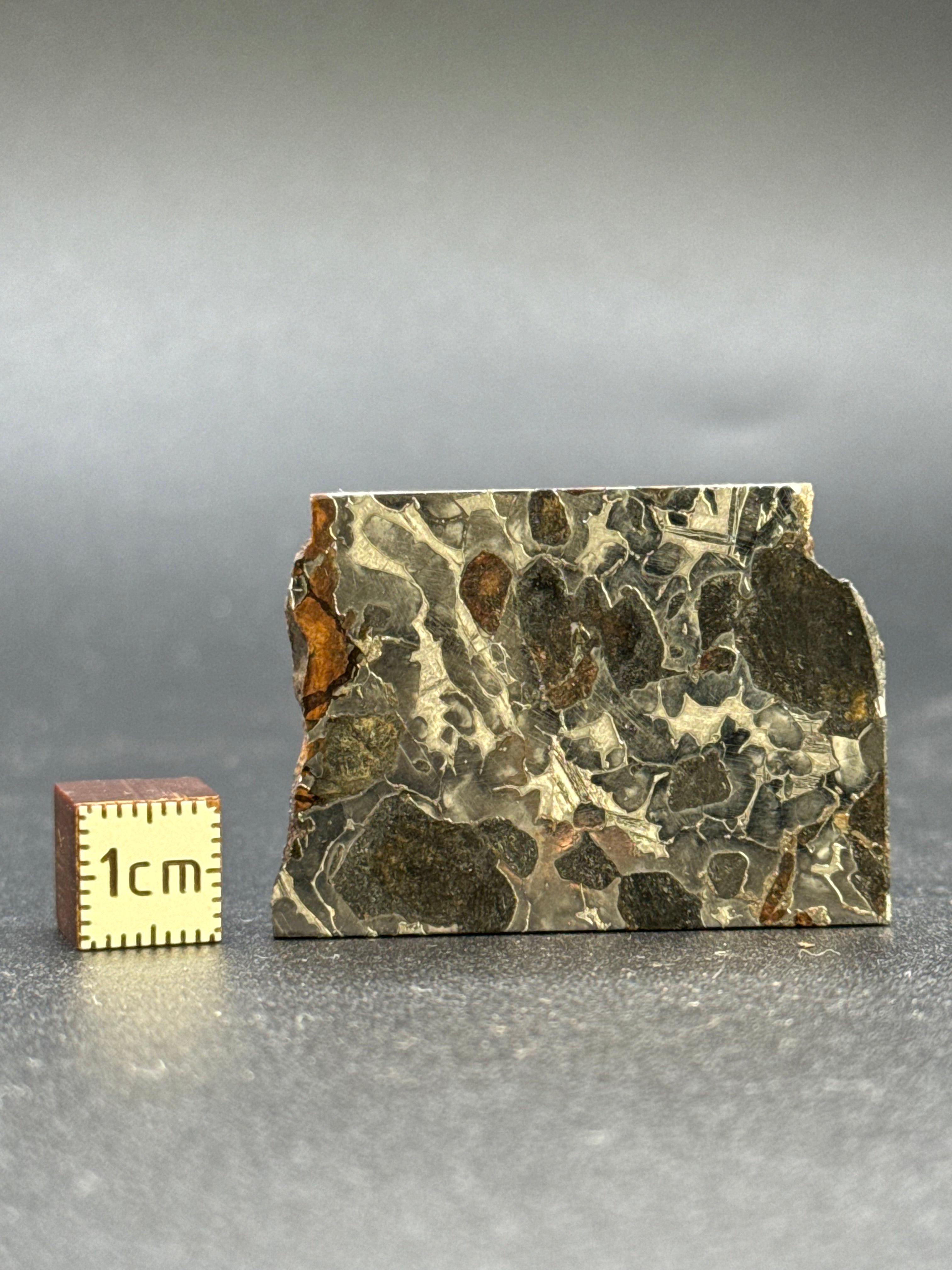 SEYMCHAN METEORITE, MAGADAN REGION, RUSSIA. 15 GRAMS.