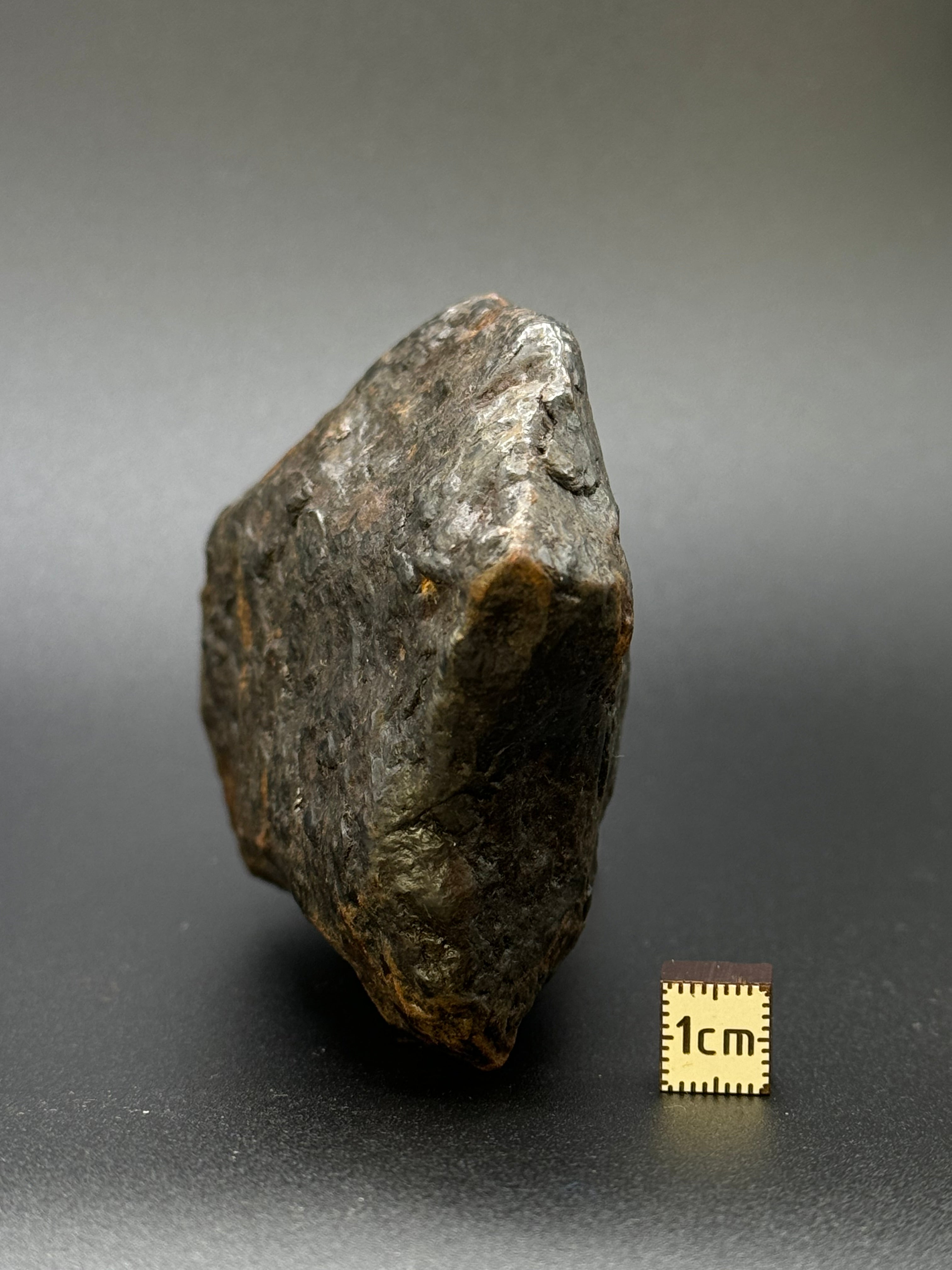 MUONIONALUSTA METEORITE, SWEDEN. FULL METEORITE 1104 GRAMS.