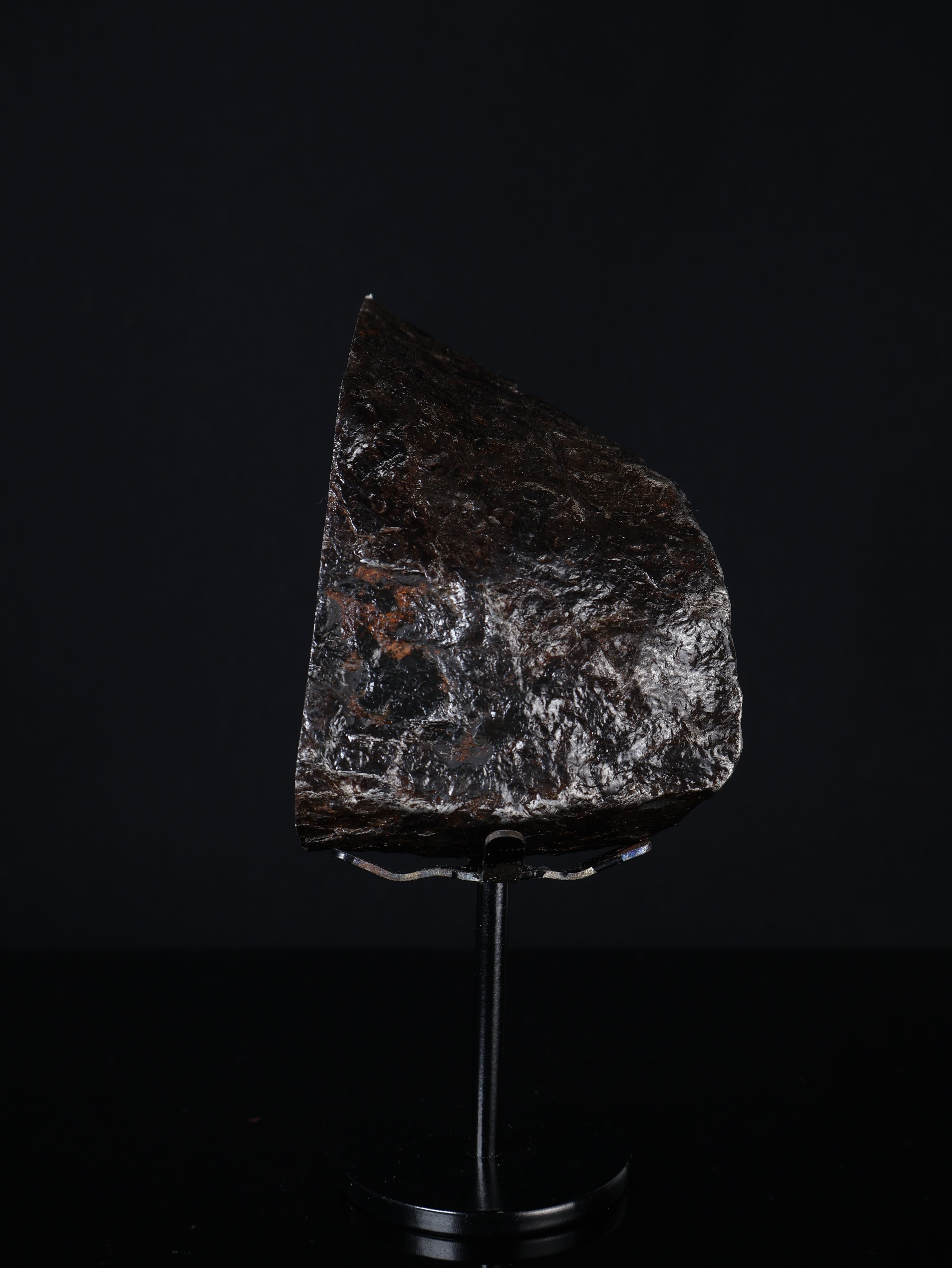 MUONIONALUSTA METEORITE, SWEDEN. 830 GRAMS END-CUT.