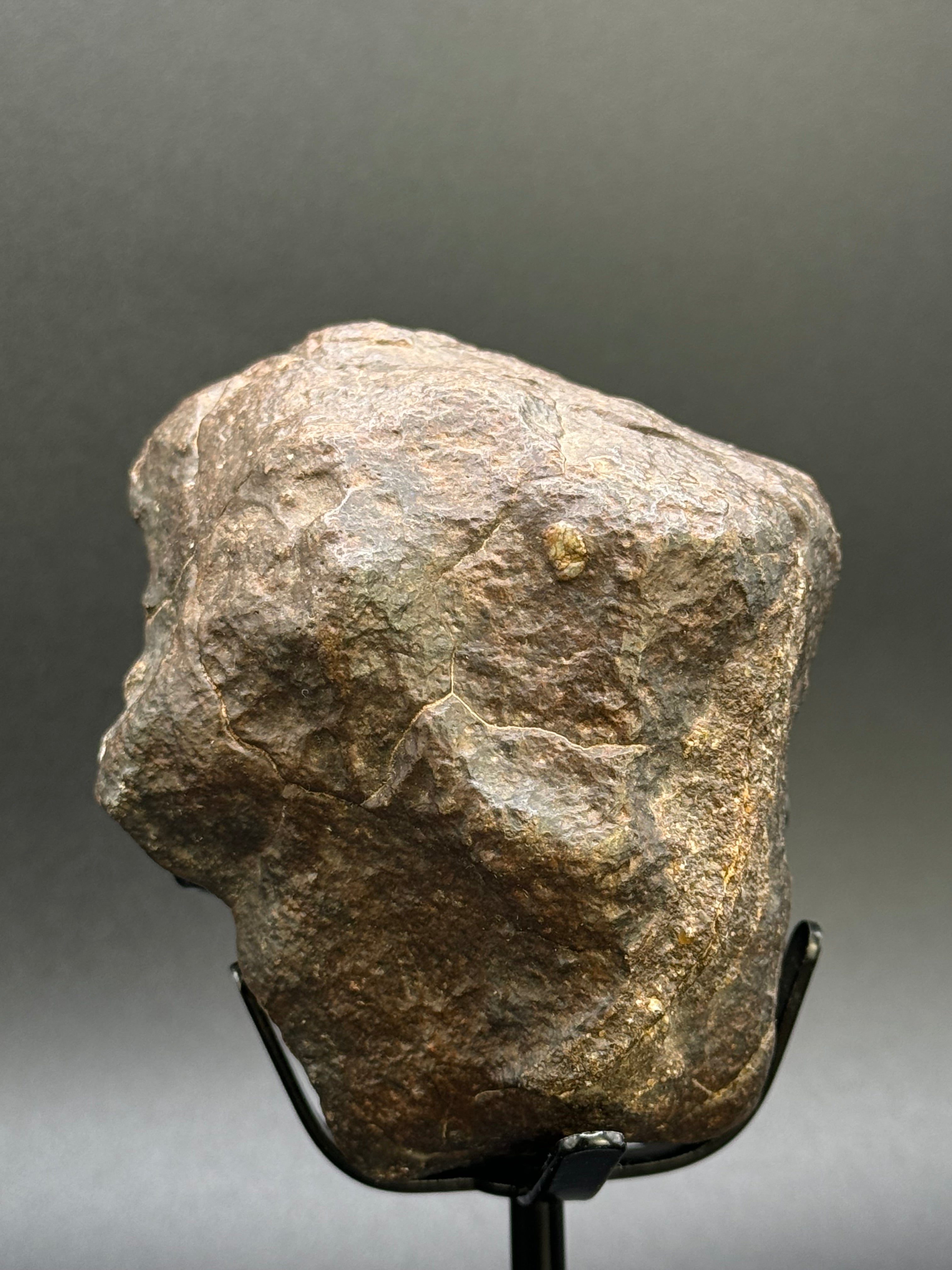 CHONDRITE METEORITE, NORTH WEST AFRICA. 368 GRAMS.