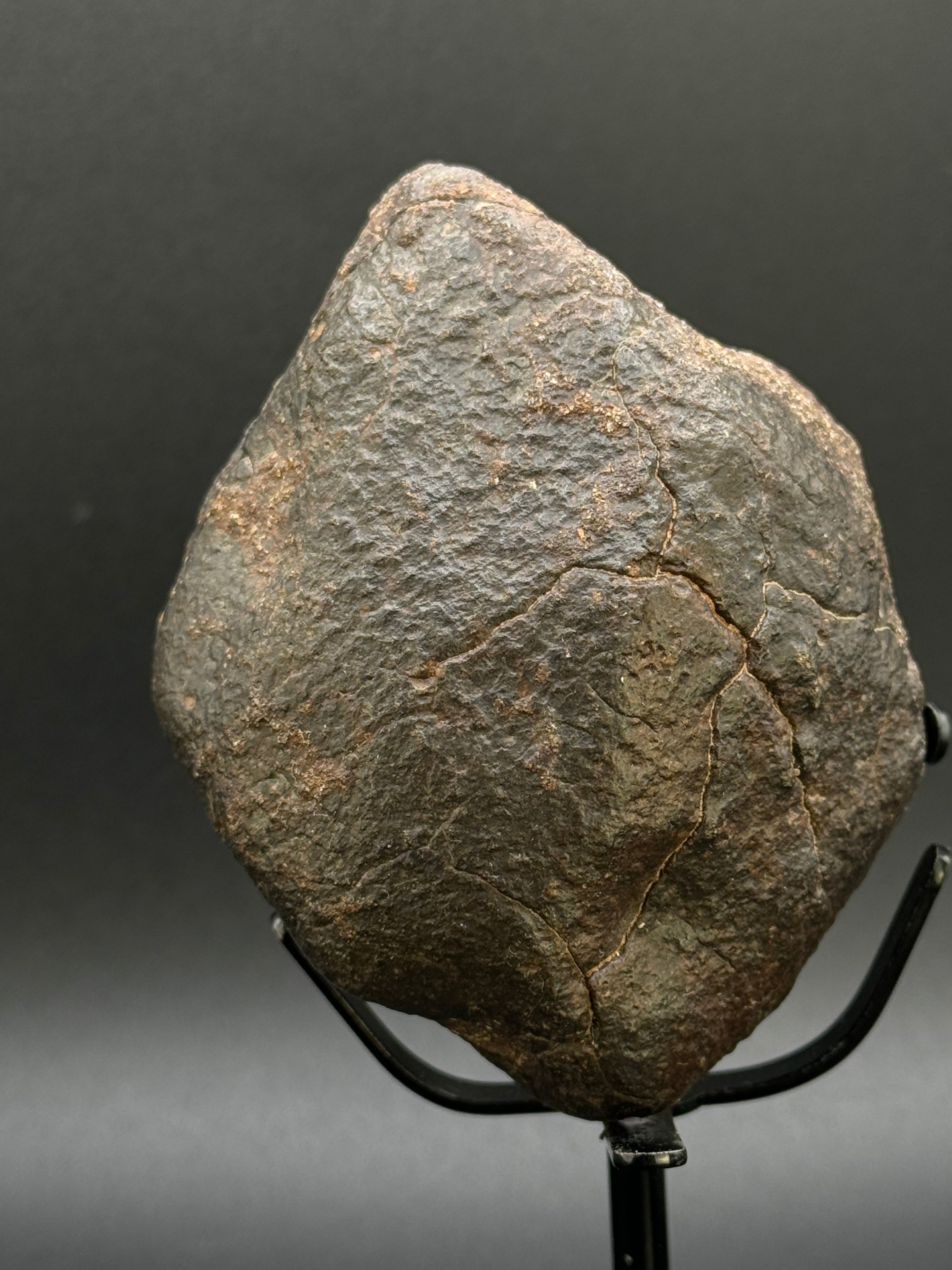 CHONDRITE METEORITE, NORTH WEST AFRICA. 352 GRAMS.