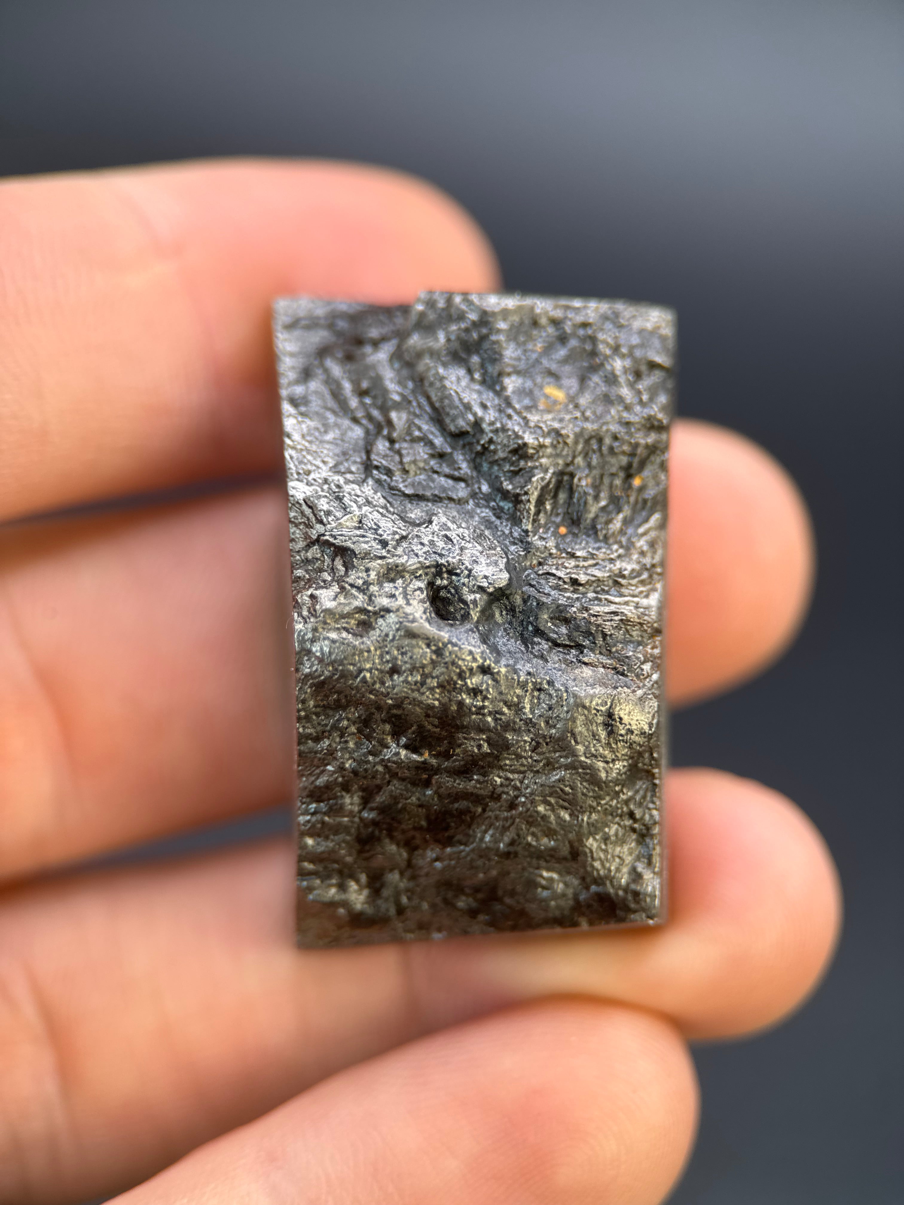 MUONIONALUSTA METEORITE, SWEDEN. 78,68 GRAMS END-CUT