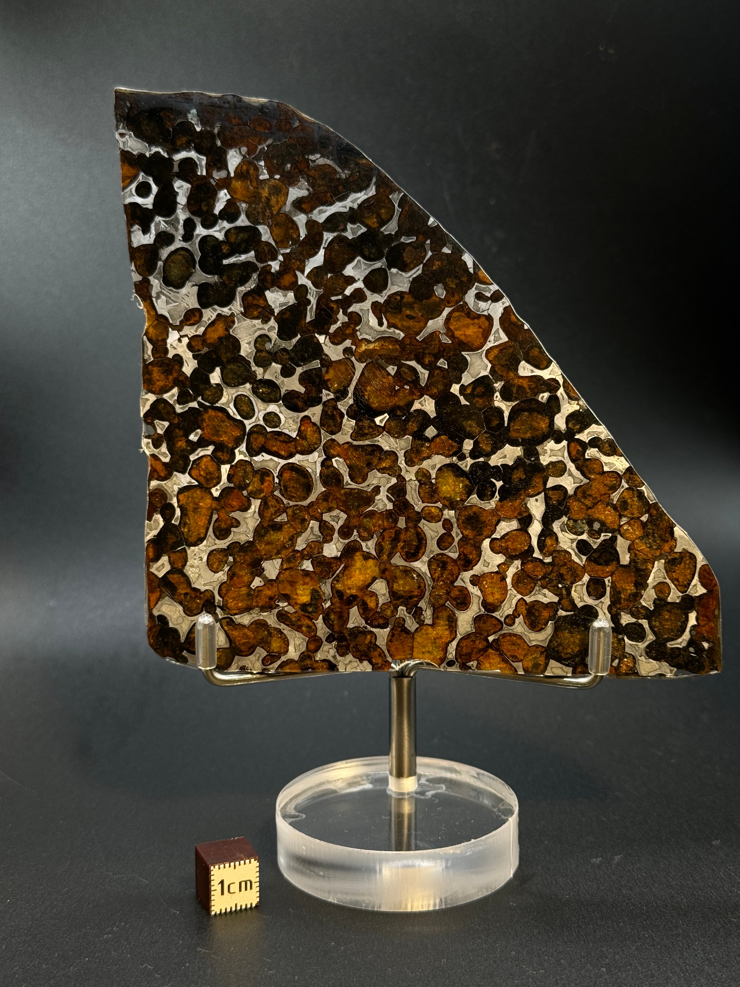 SERICHO METEORITE, KENYA. 71 GRAMS SLICE