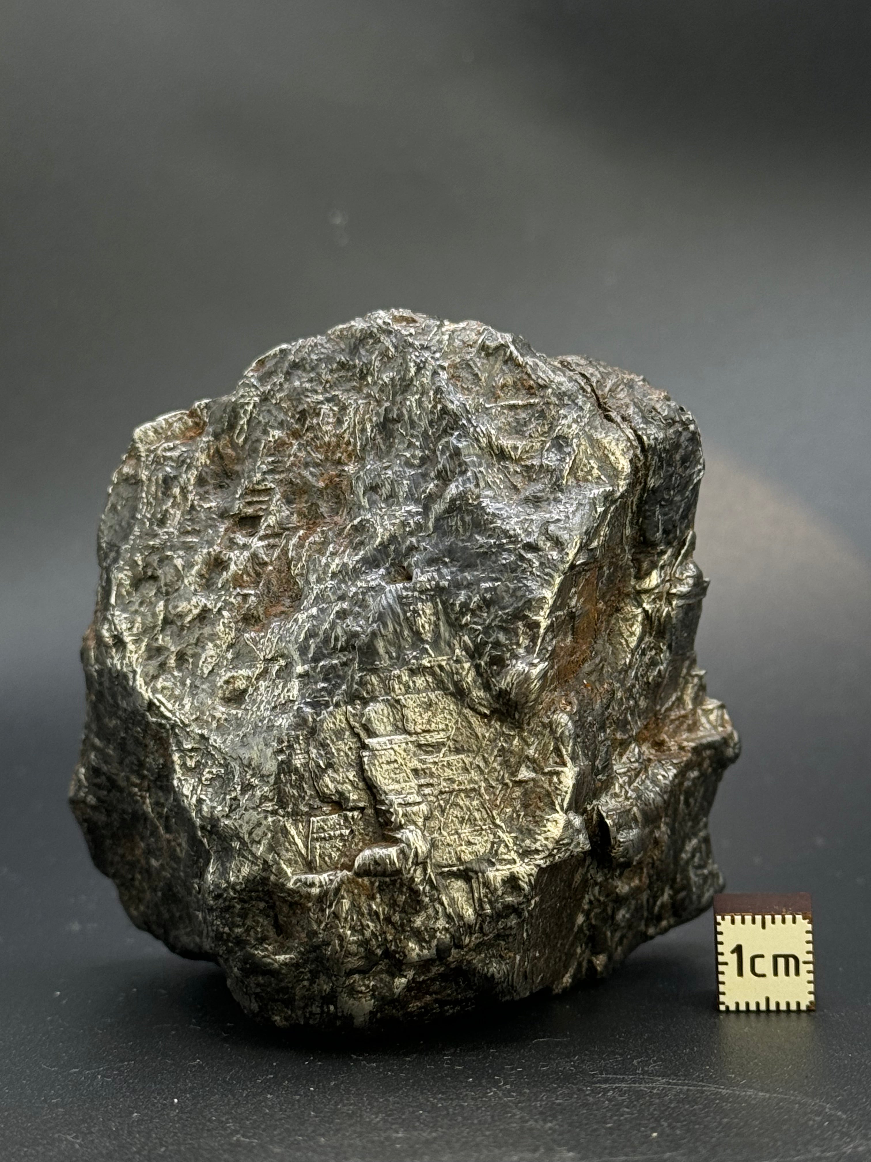 MUONIONALUSTA METEORITE, SWEDEN. 701 GRAMS END-CUT.