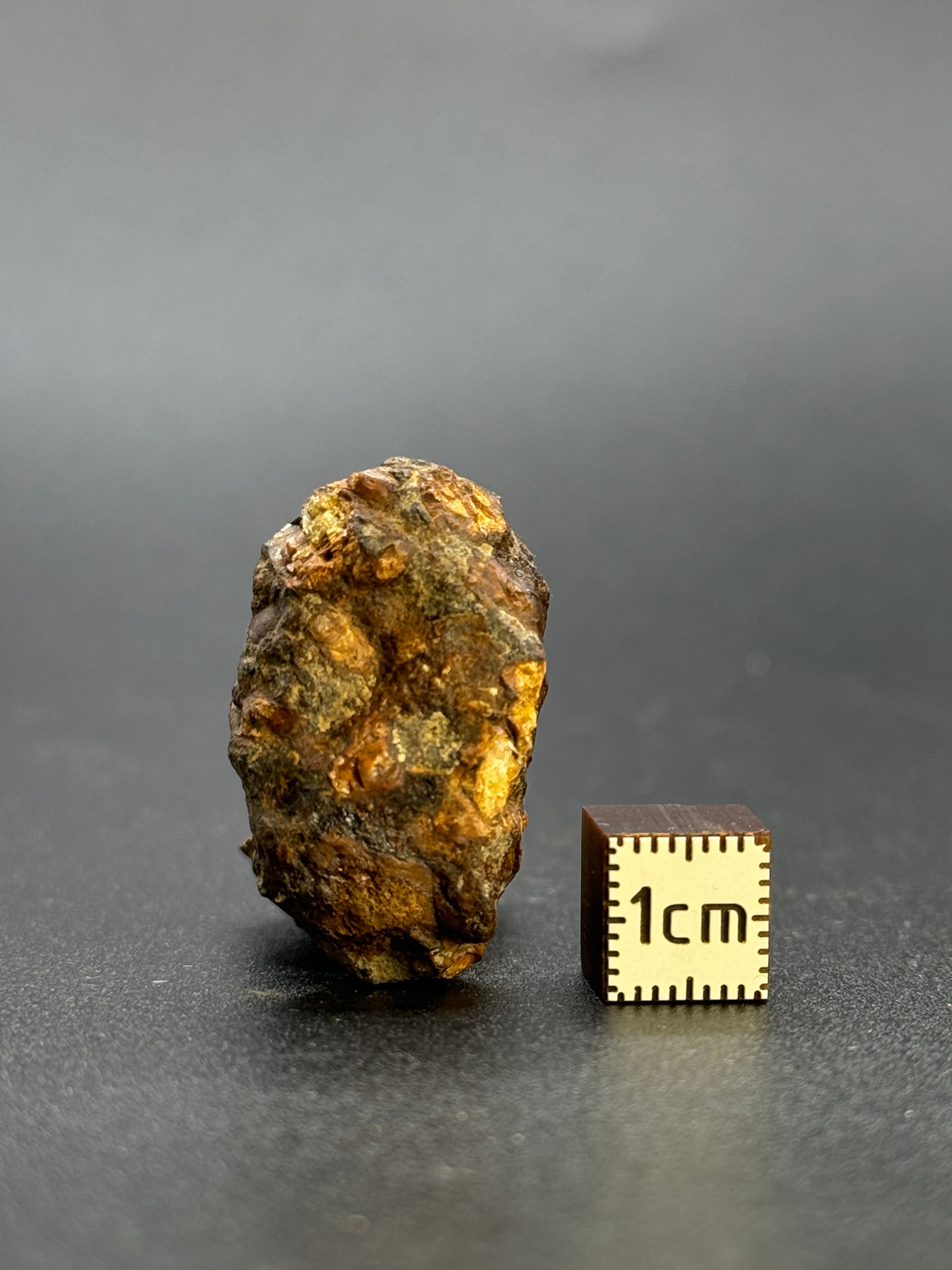SERICHO PALLASITE METEORITE, KENYA. 13,40 GRAMS END-CUT