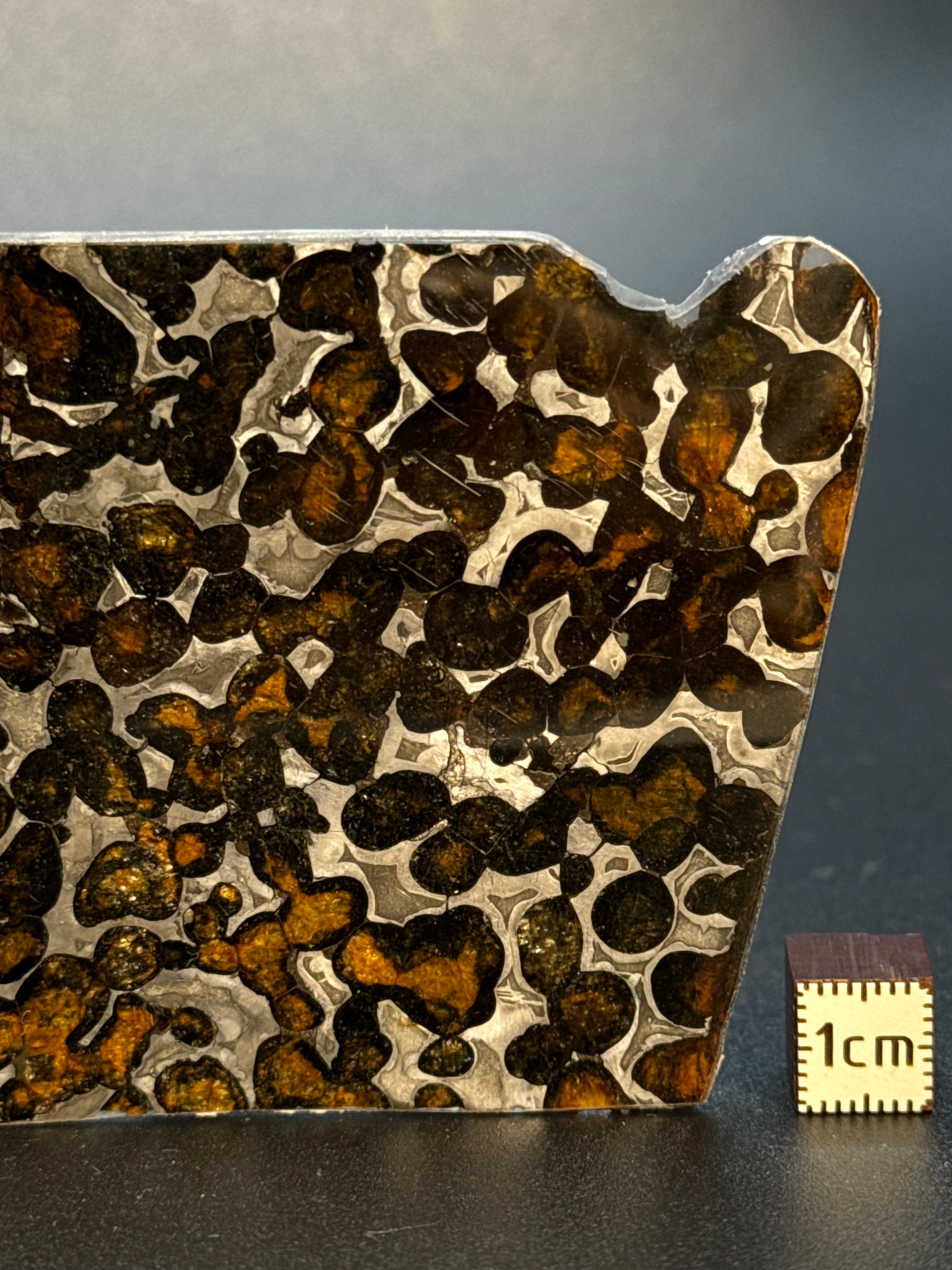 SERICHO METEORITE, KENYA. 32 GRAMS SLICE